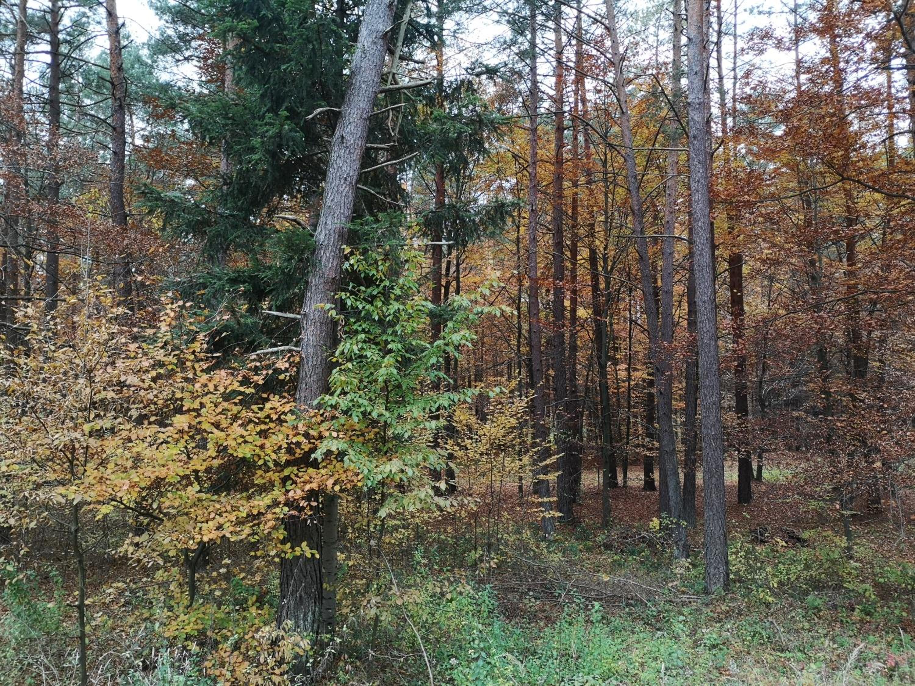 Photo 27