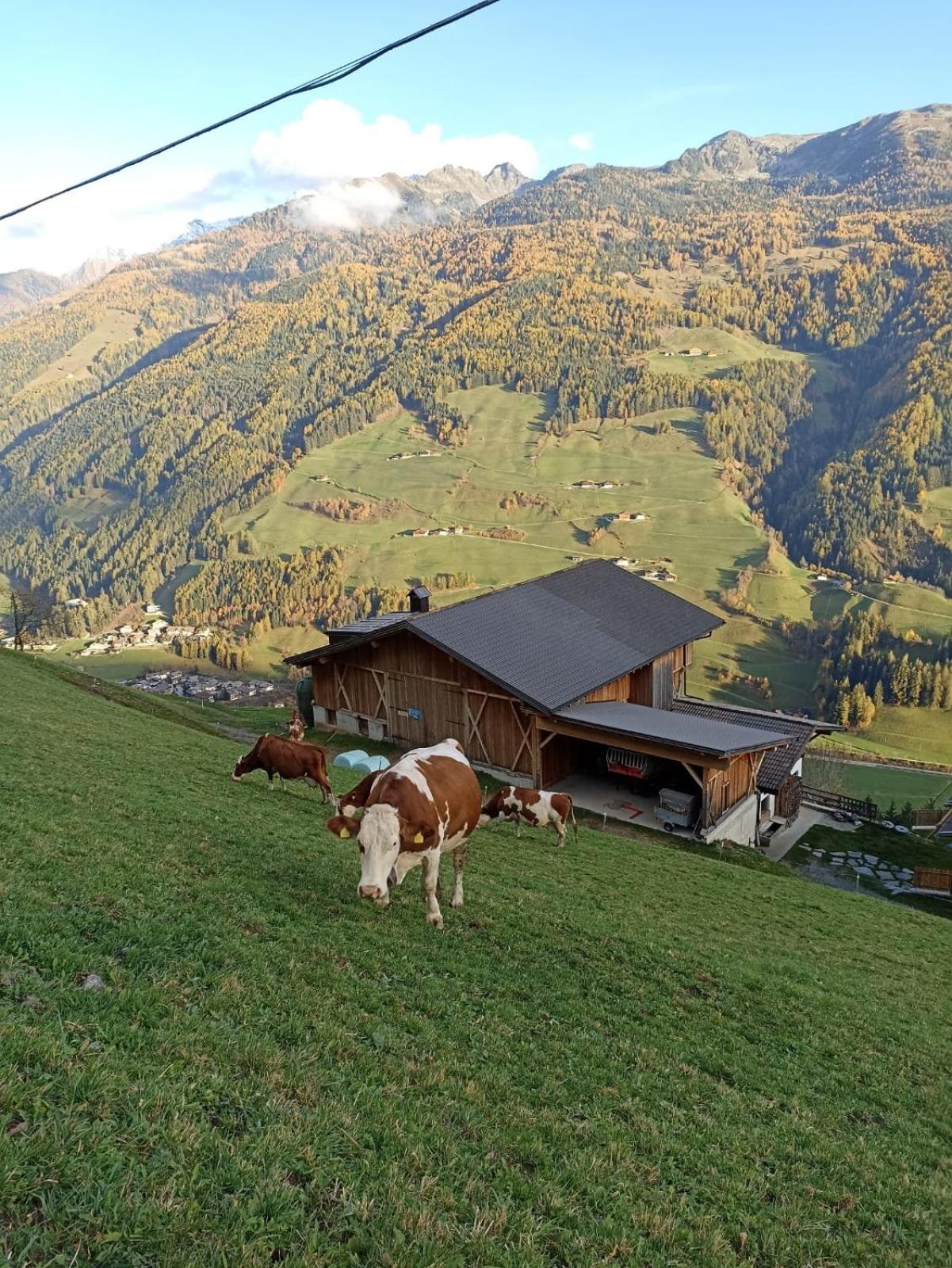Ortnerhof