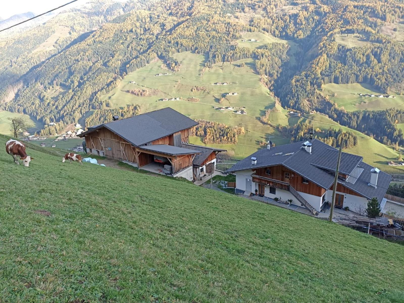 Ortnerhof