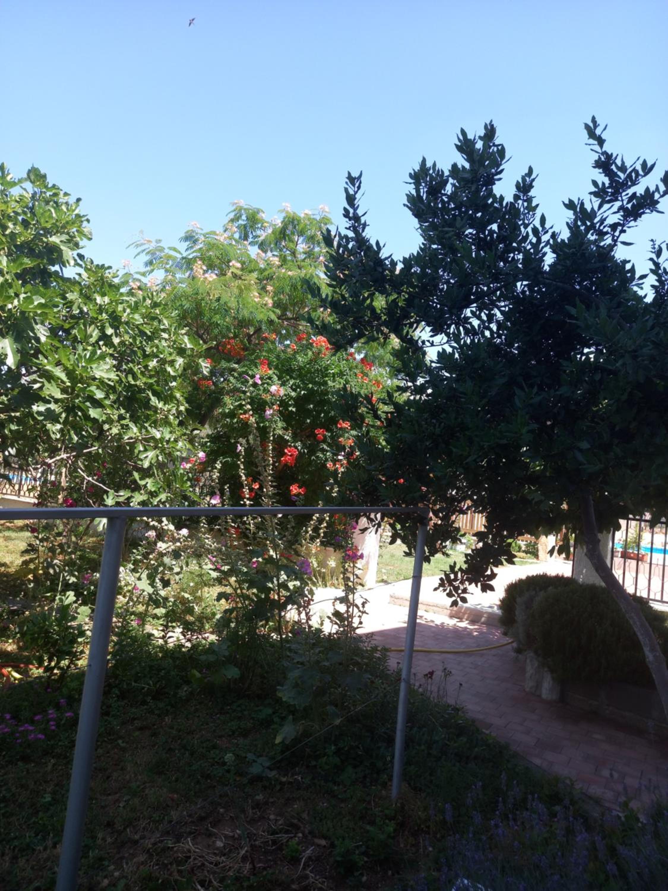 Photo 28
