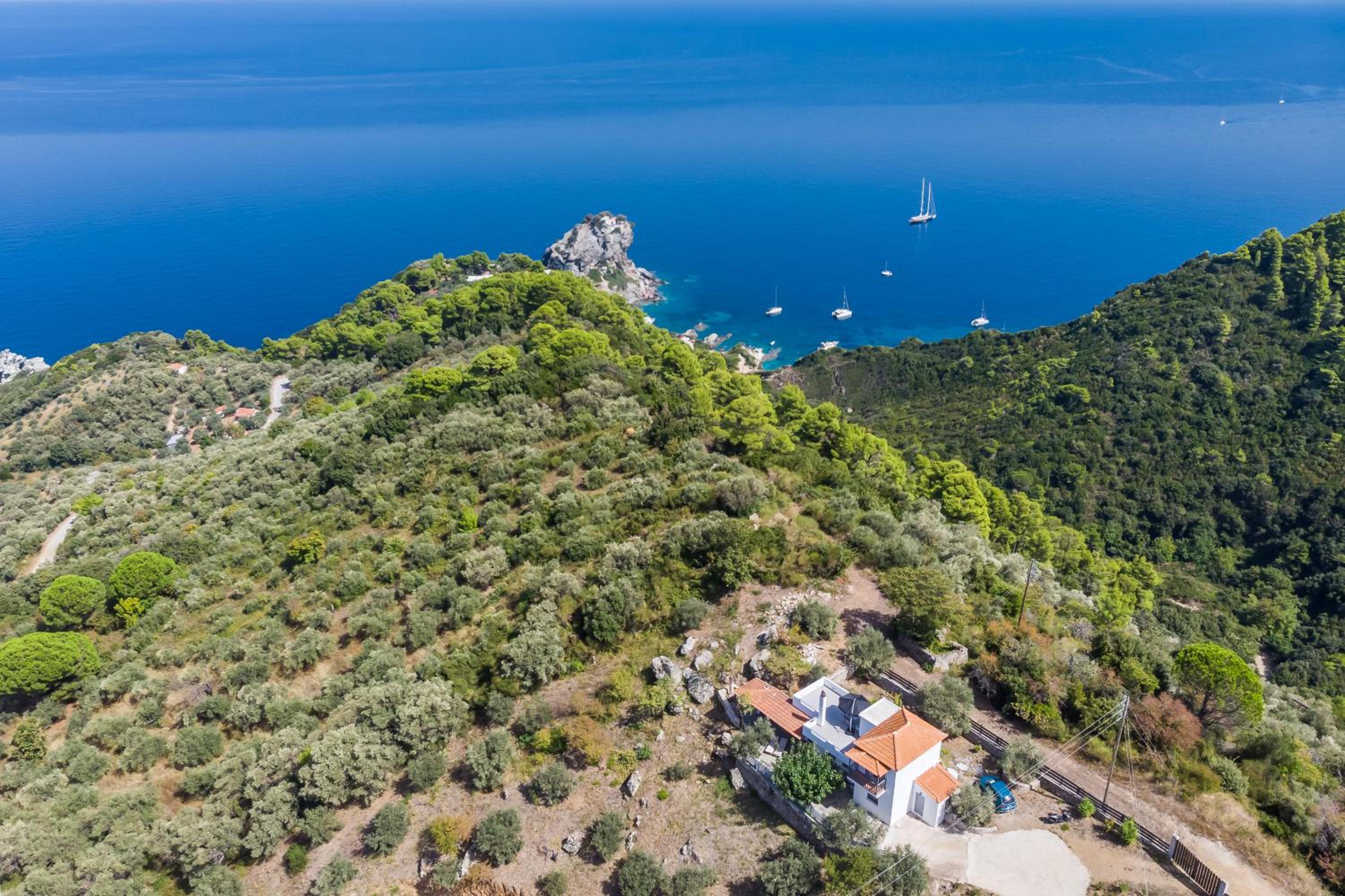 Villa Rose
