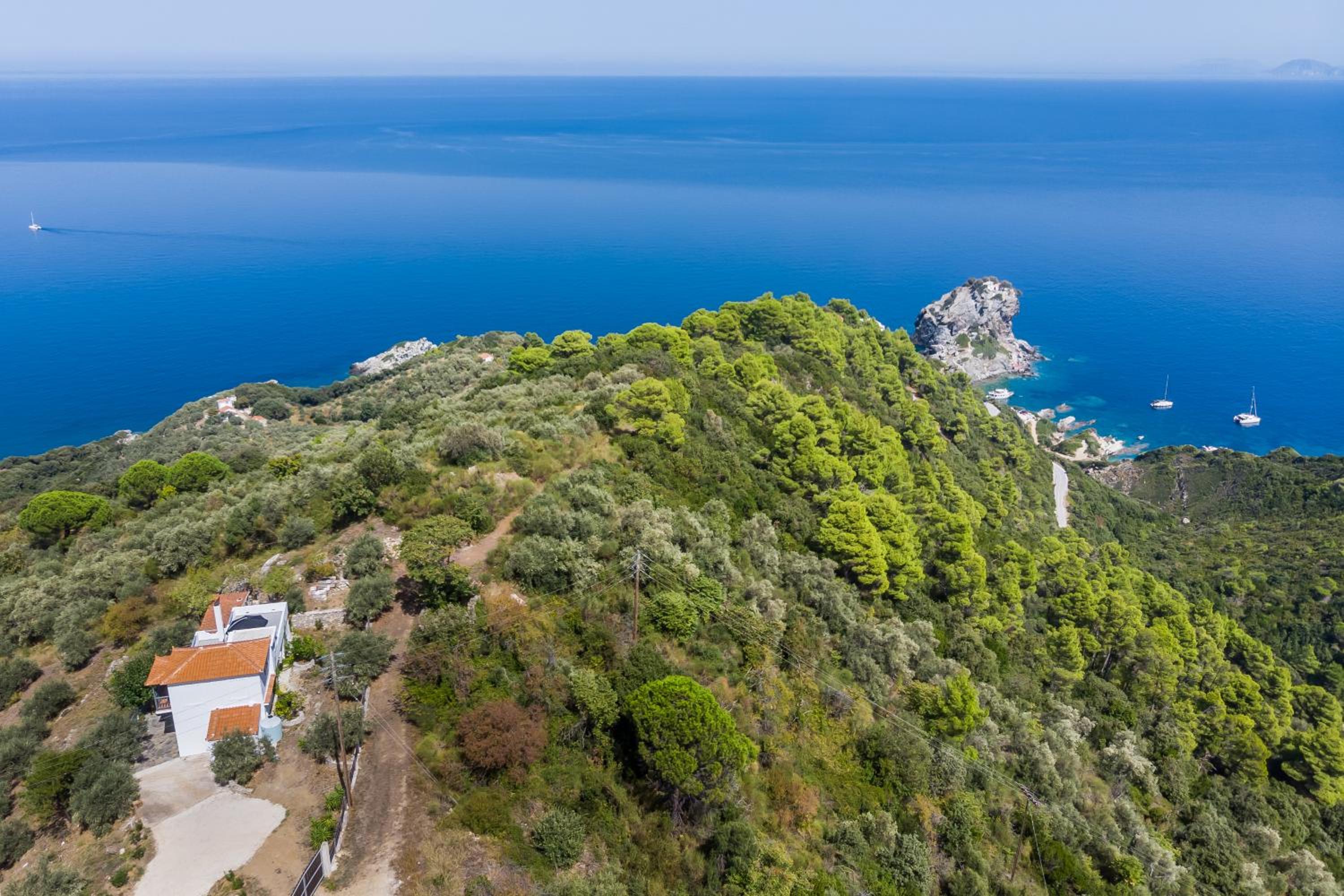 Villa Rose