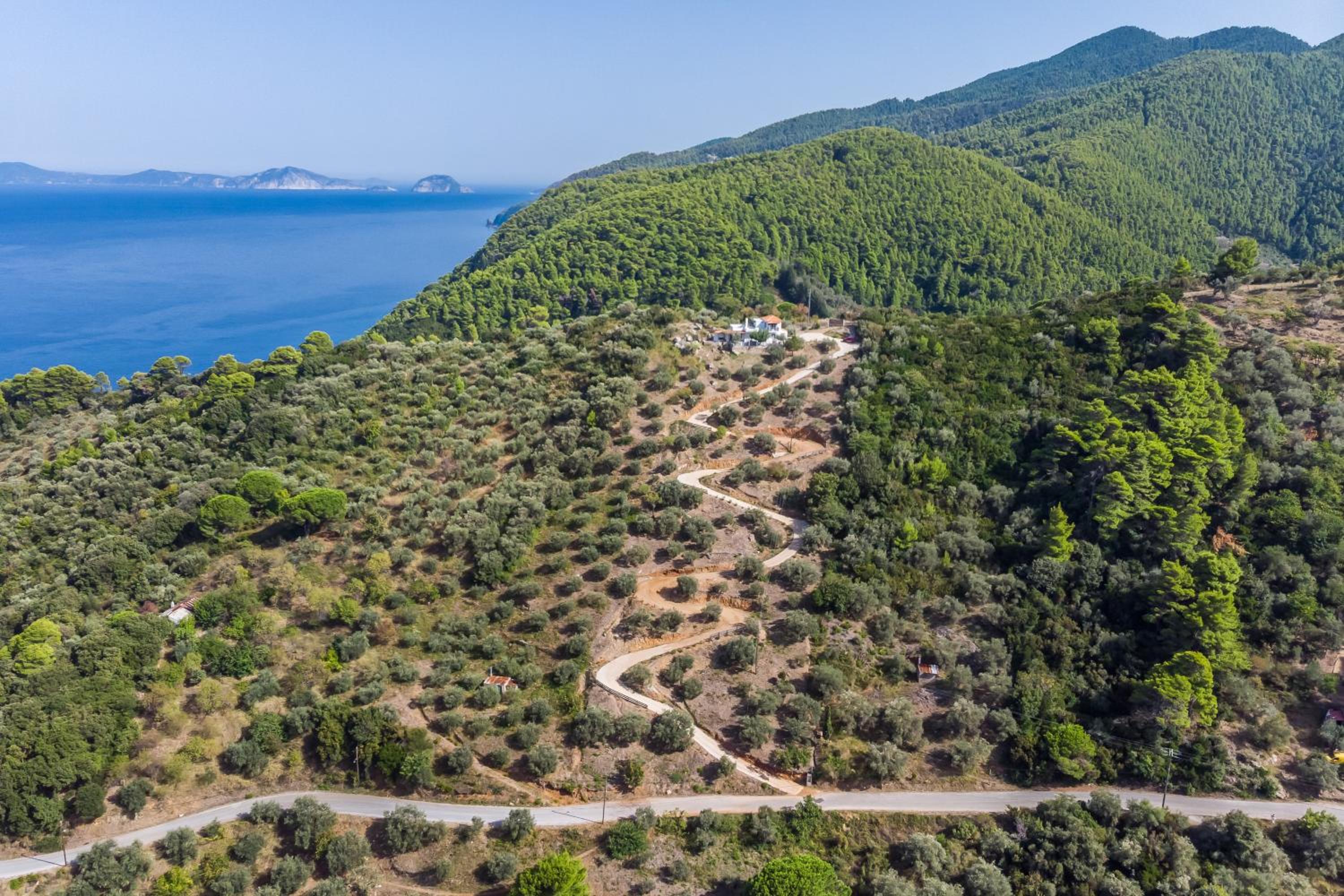 Villa Rose