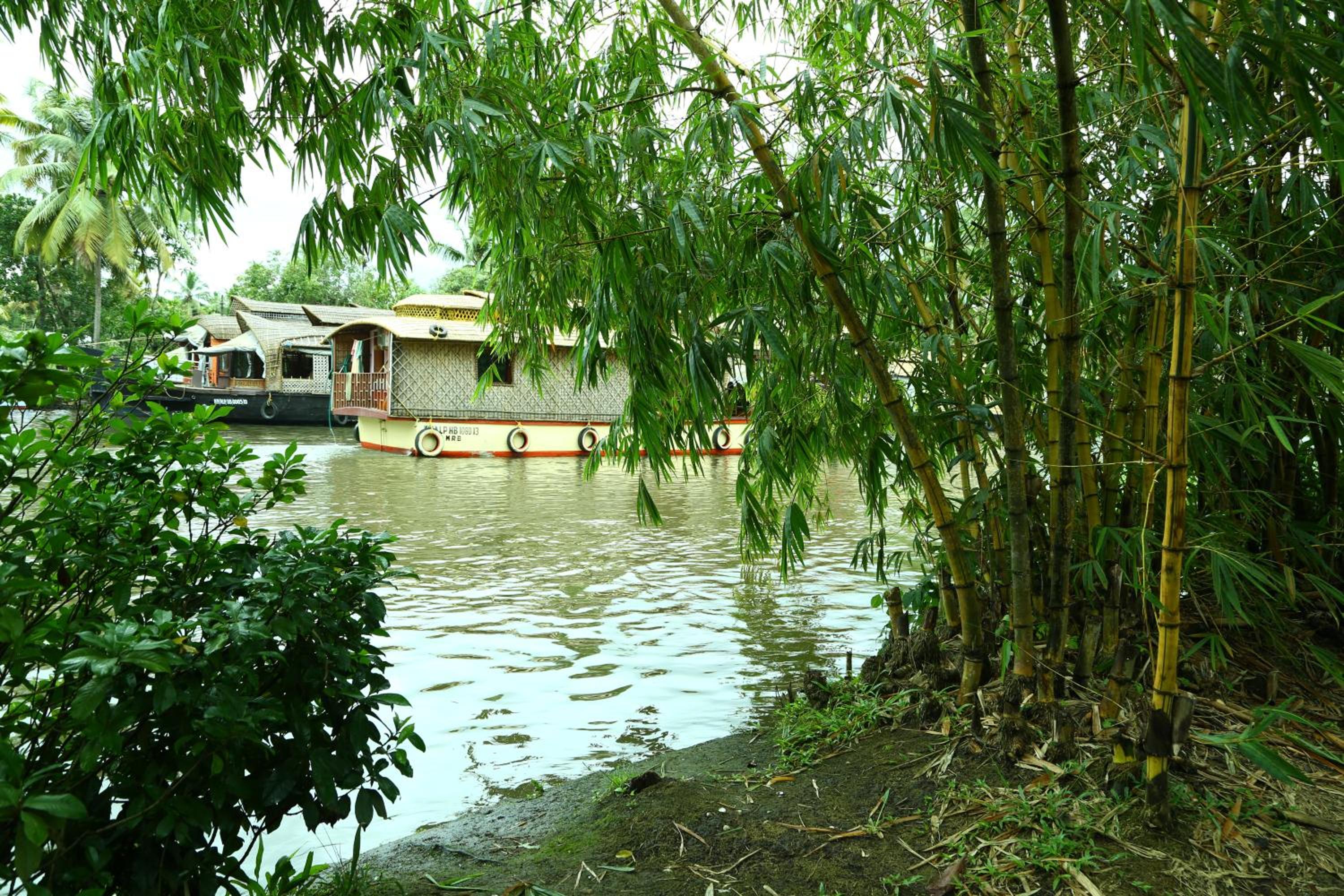 Alapatt Homestay view 3