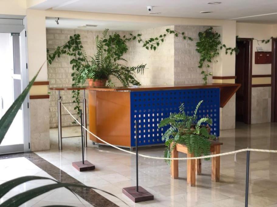 PLAYA DEL NORTE VIVIENDA VACACIONAL