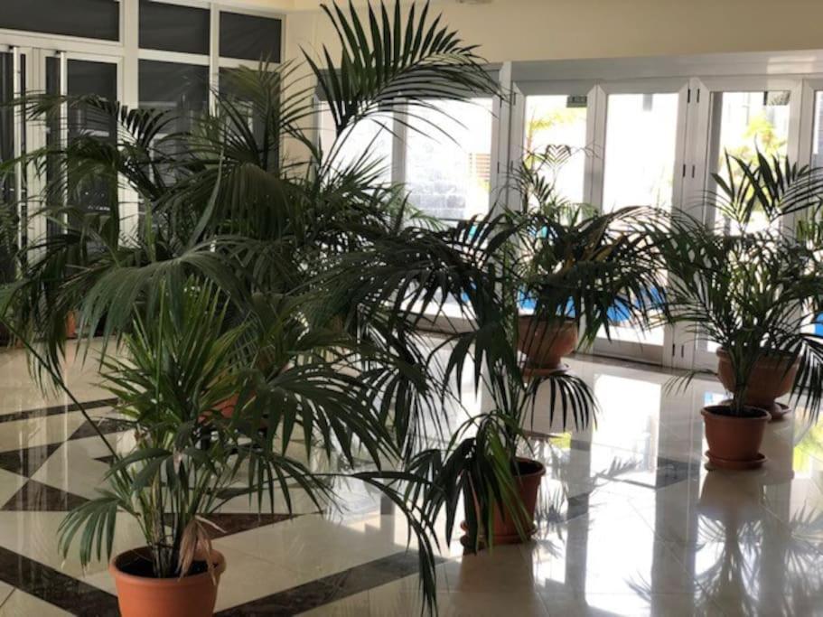 PLAYA DEL NORTE VIVIENDA VACACIONAL