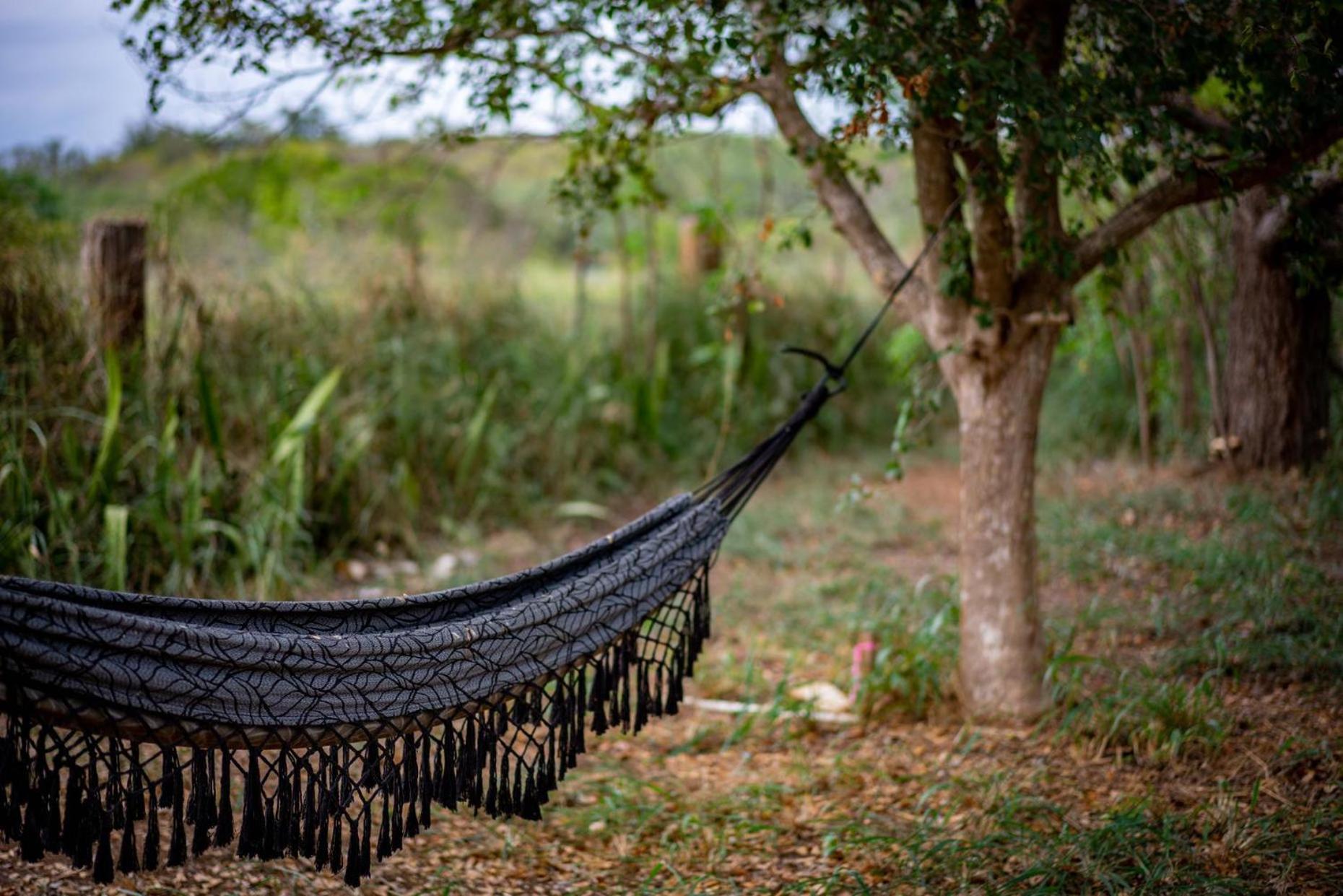 Pitahaya Glamping
