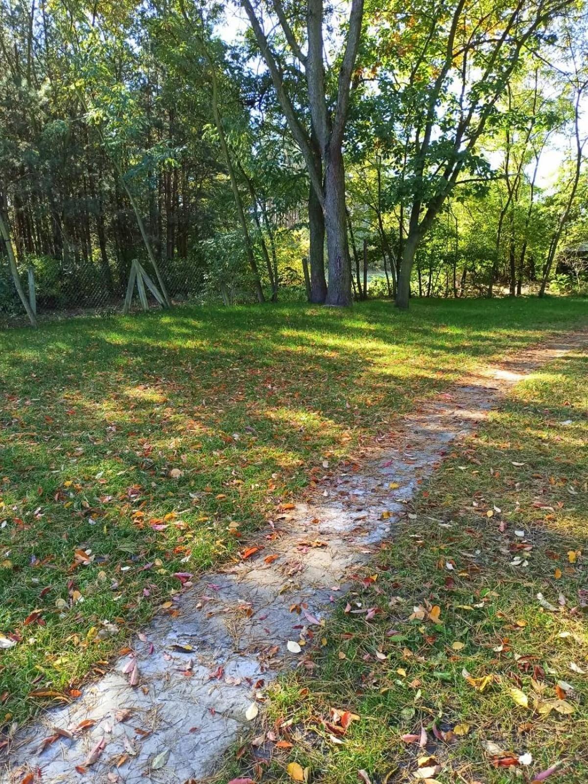 Photo 26