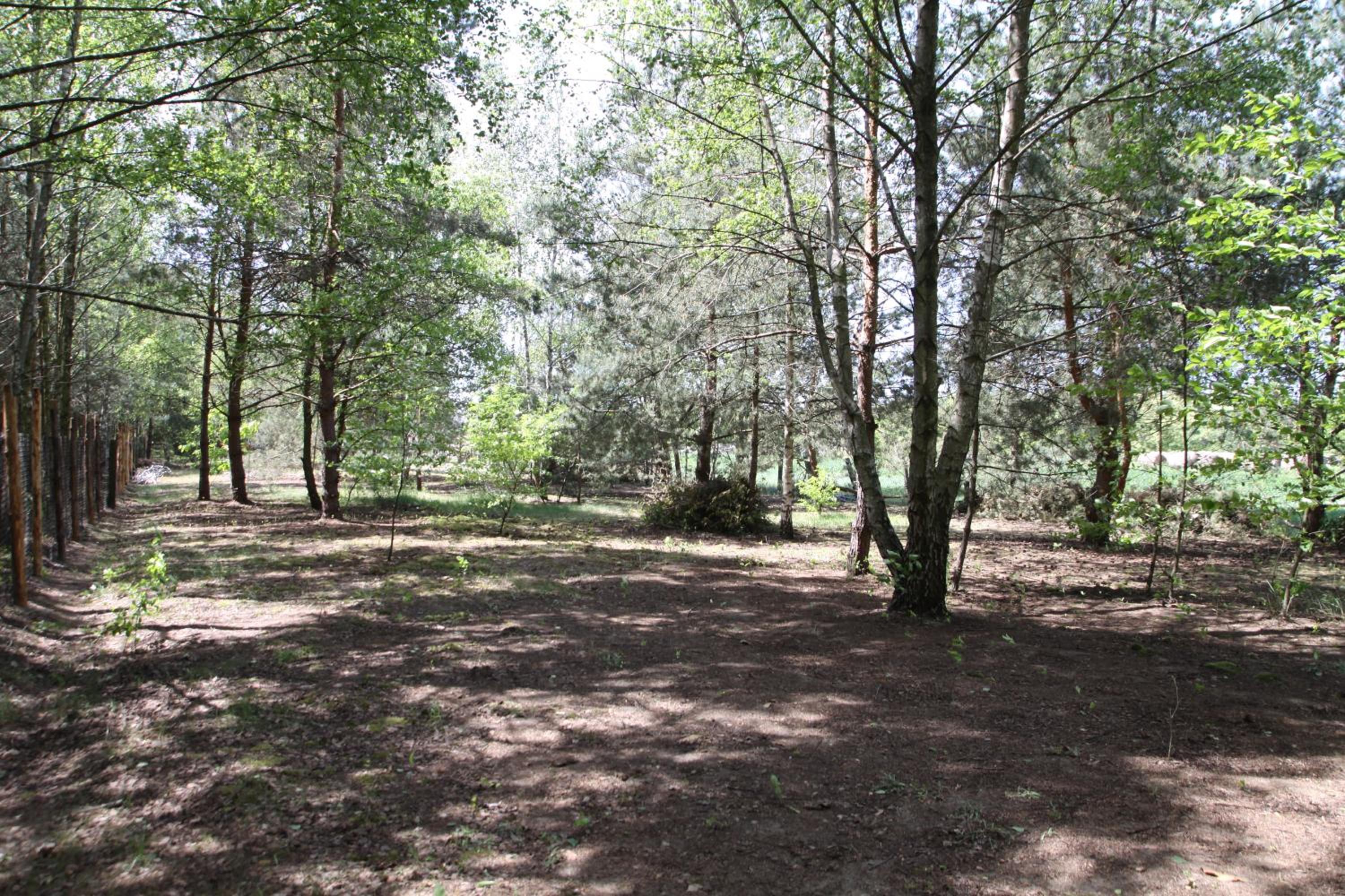 Photo 49