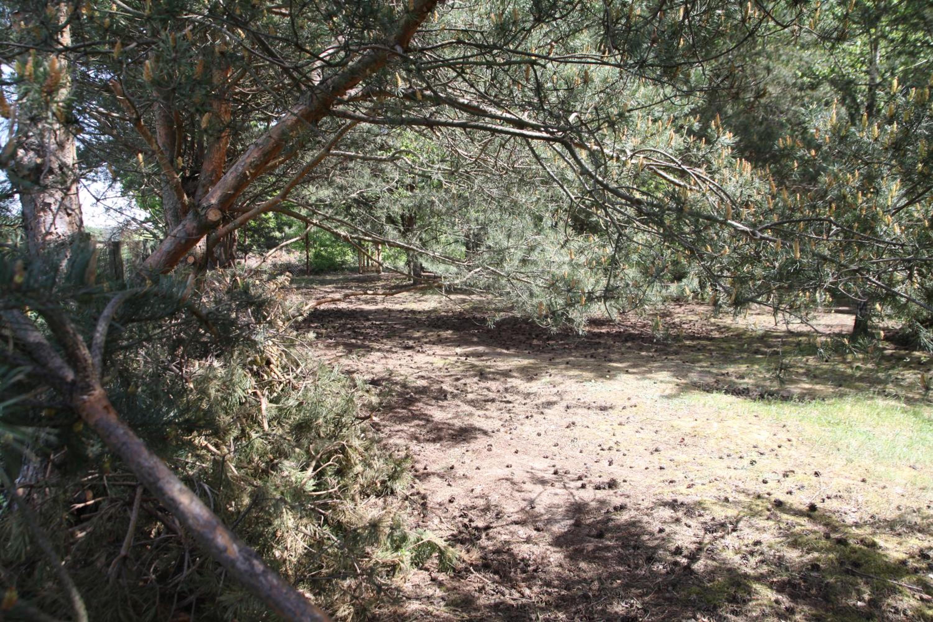 Photo 42