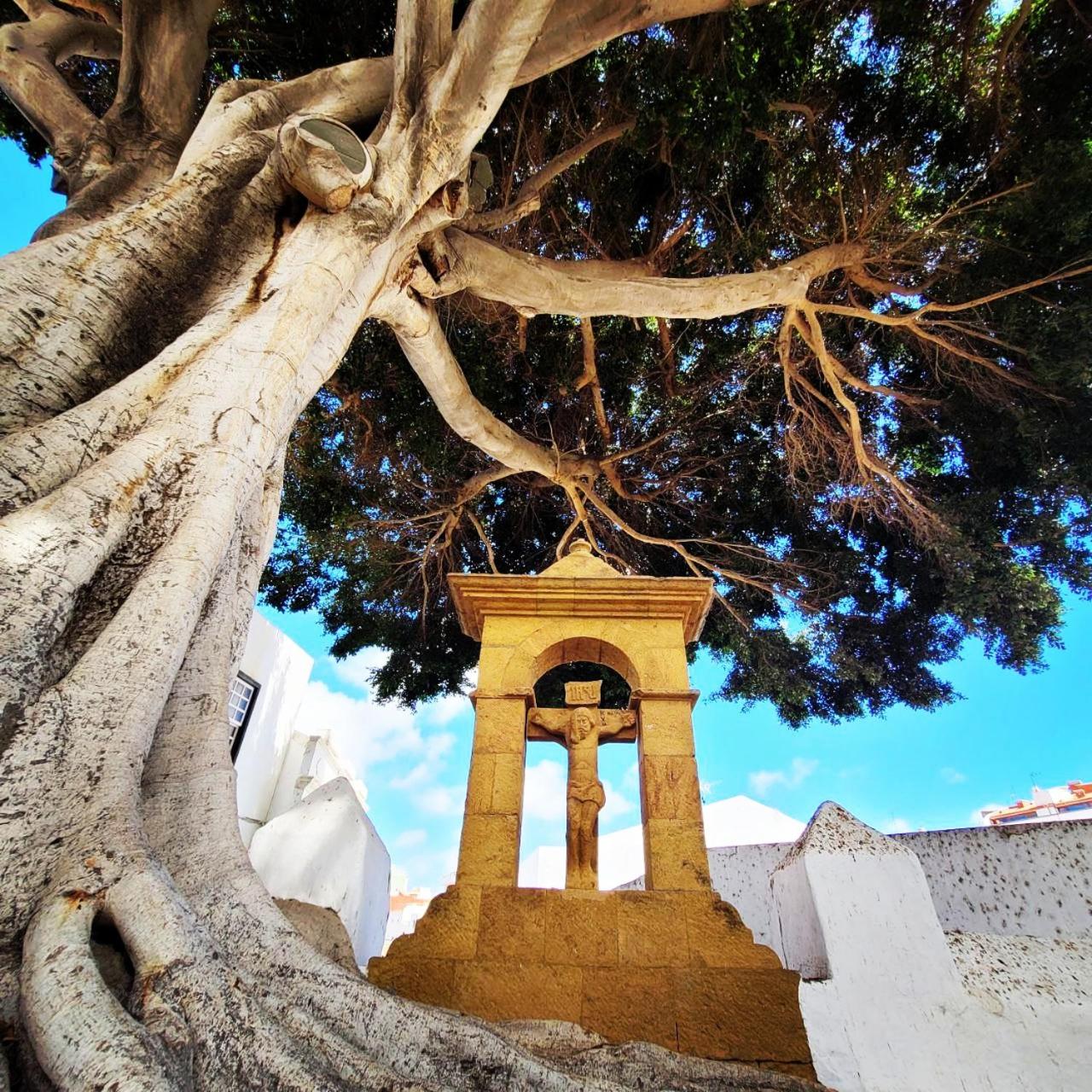 Vv CONDEVEGA