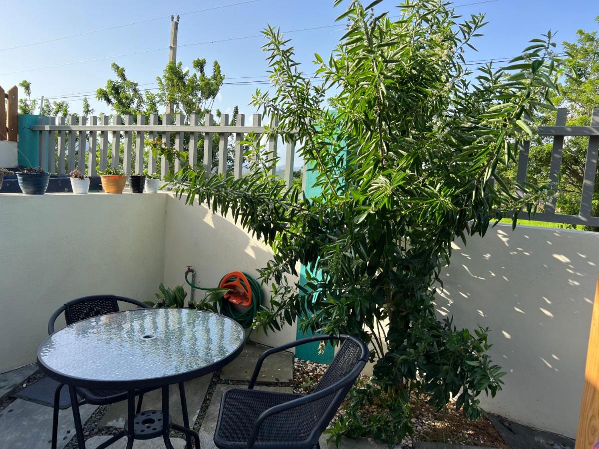 A-1 Hermoso Apartamento tipo villa al pie de la montaña elitevillasjarabacoa, photo 11