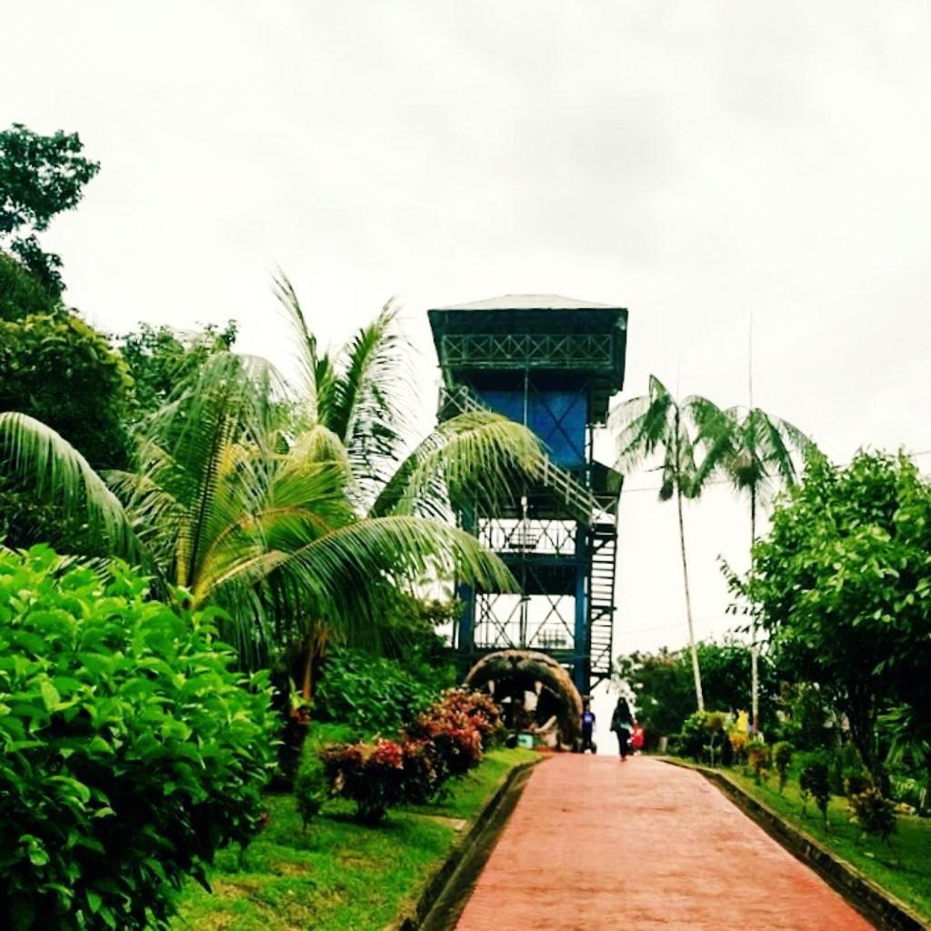 garden
