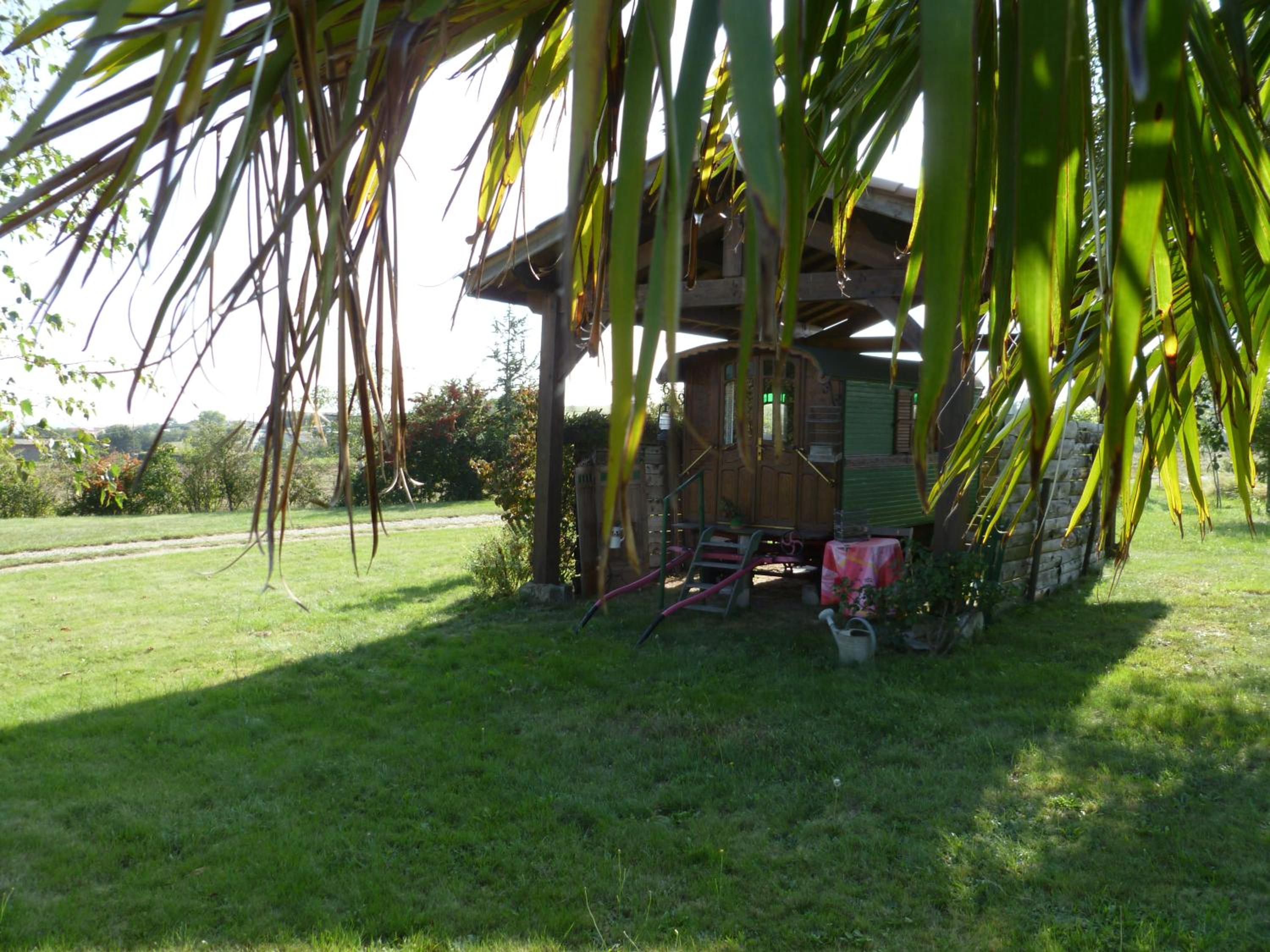 Photo 12