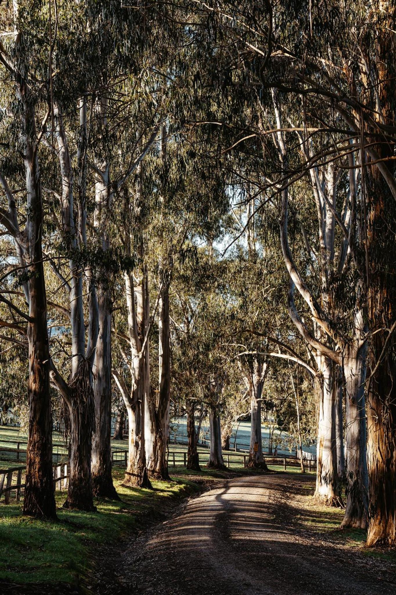 Kangaroo Manor