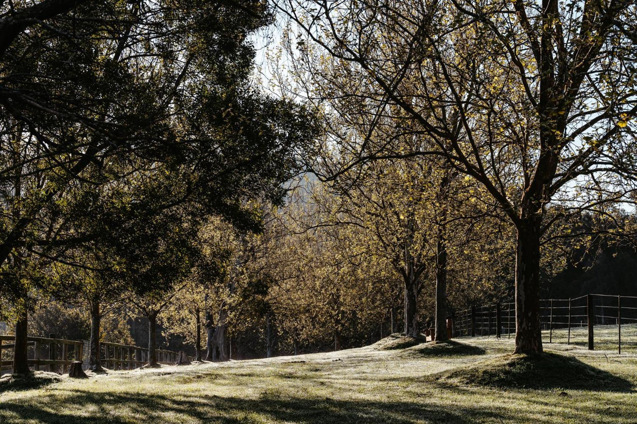Kangaroo Manor