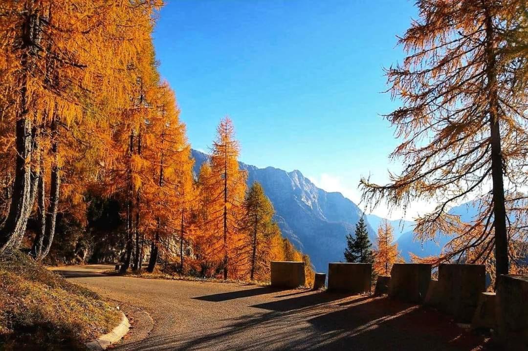 Apartments Blažič