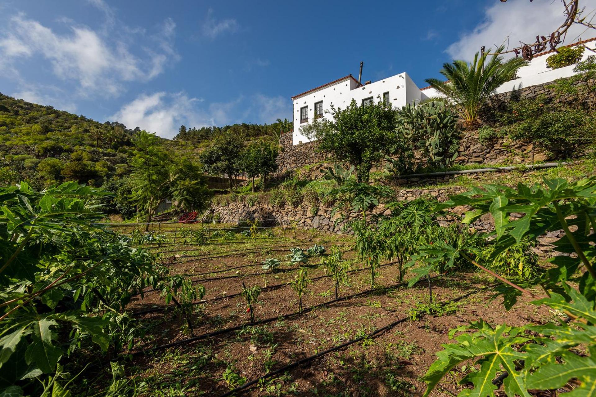 Las Casas del Chorro
