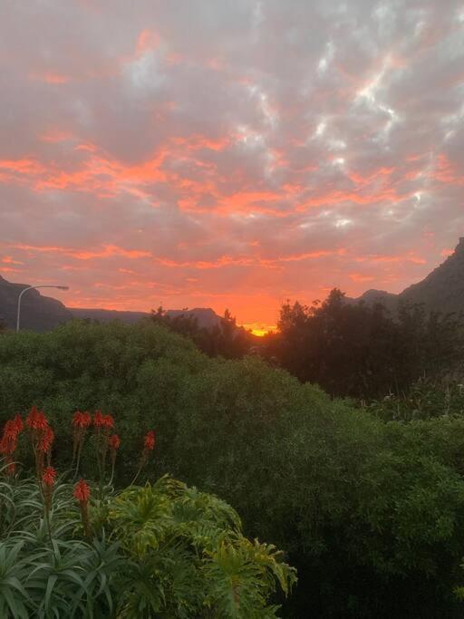 Hout Bay Perfection -Studio Apartment.