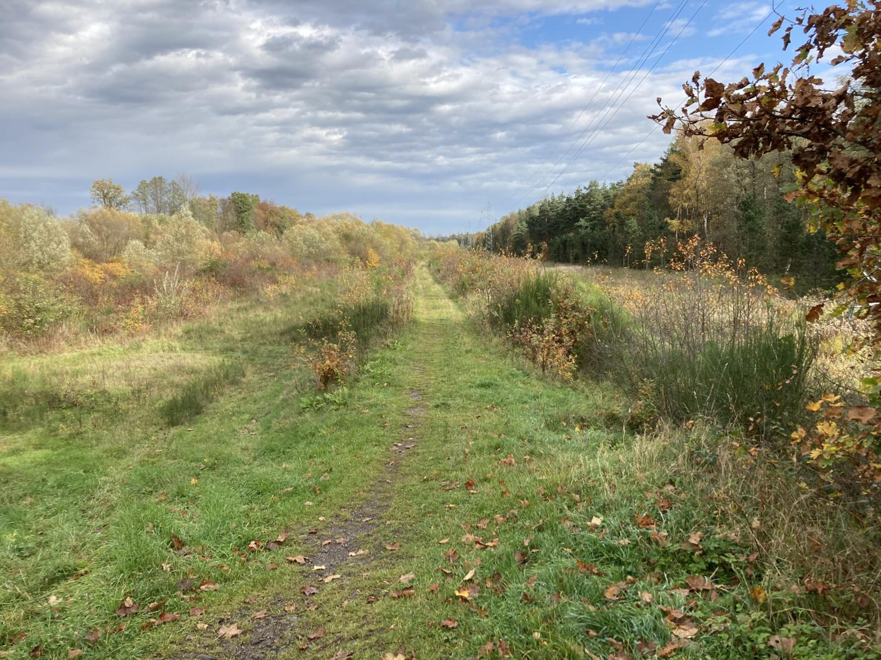 Photo 26