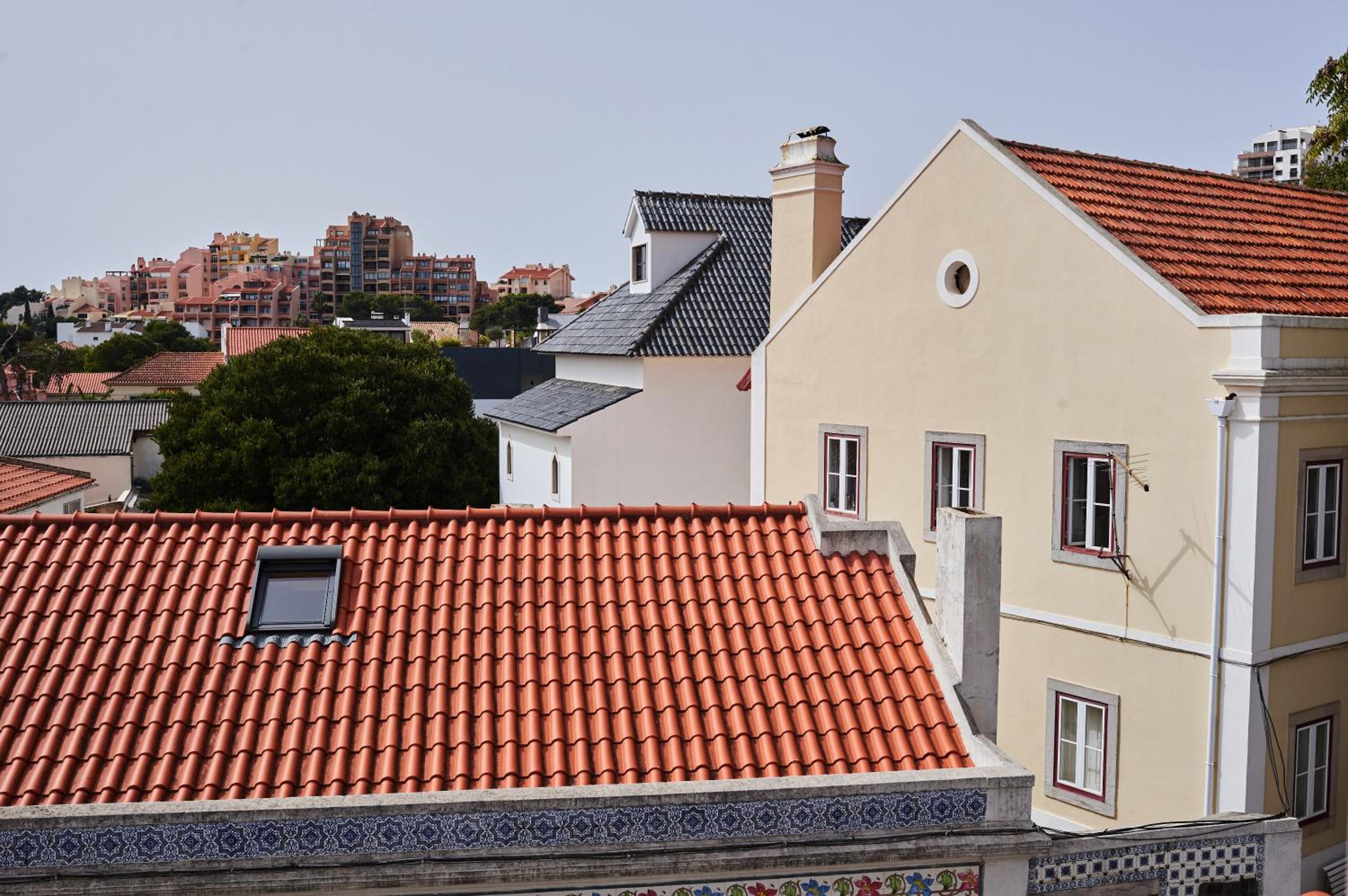 Ljmonade Hostel