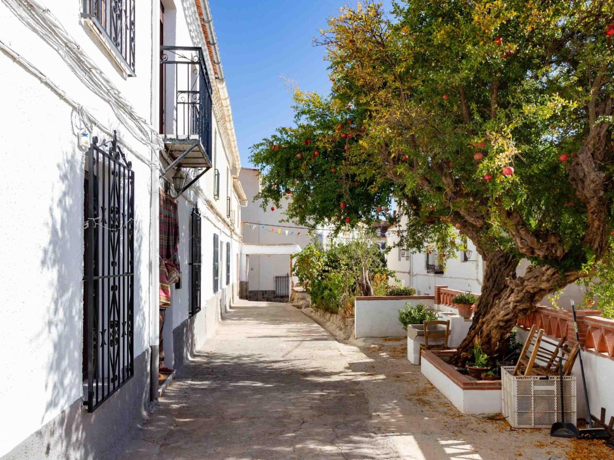 Casa de Las Granadas
