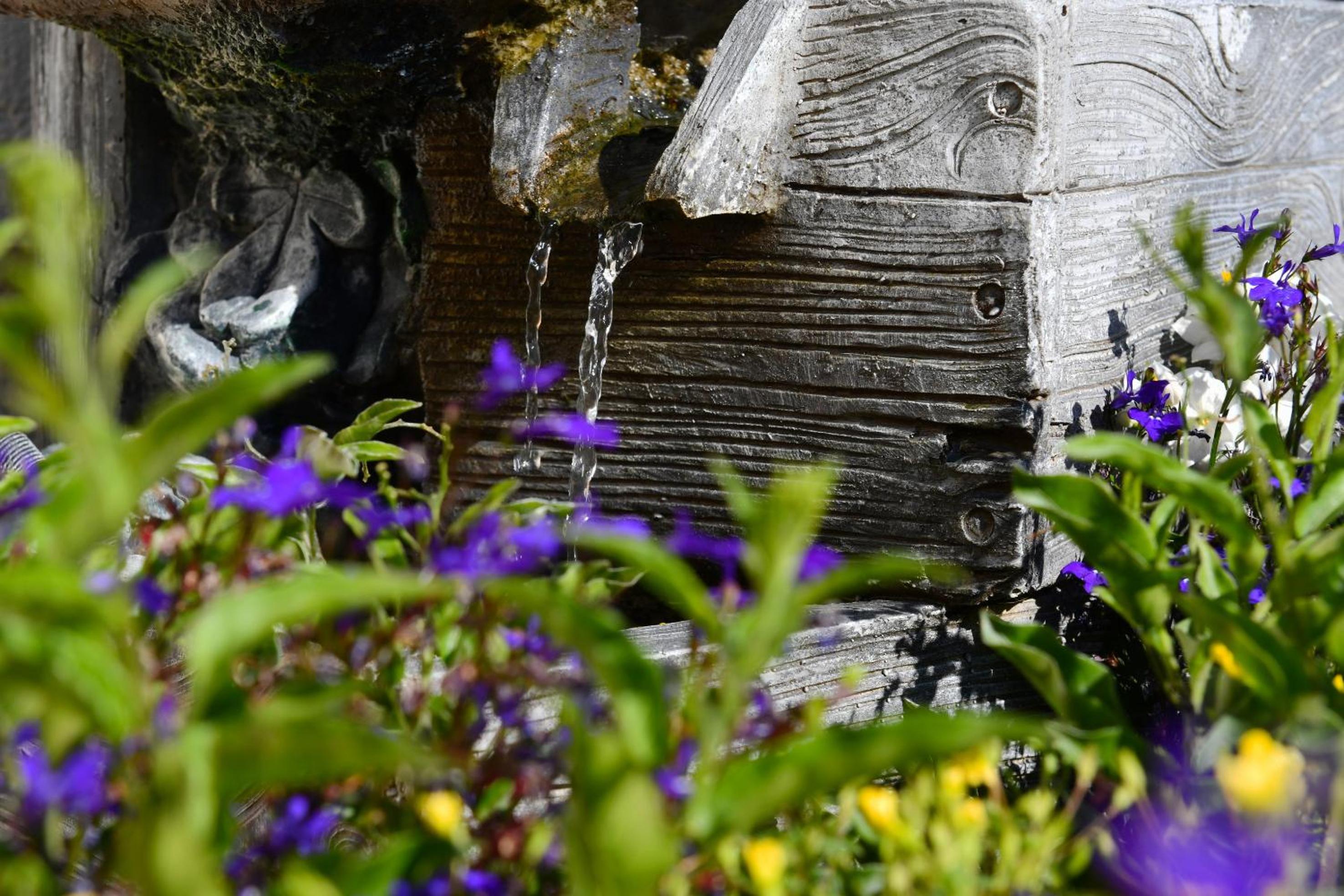 Landhotel Jungbrunnen - Property Image 12