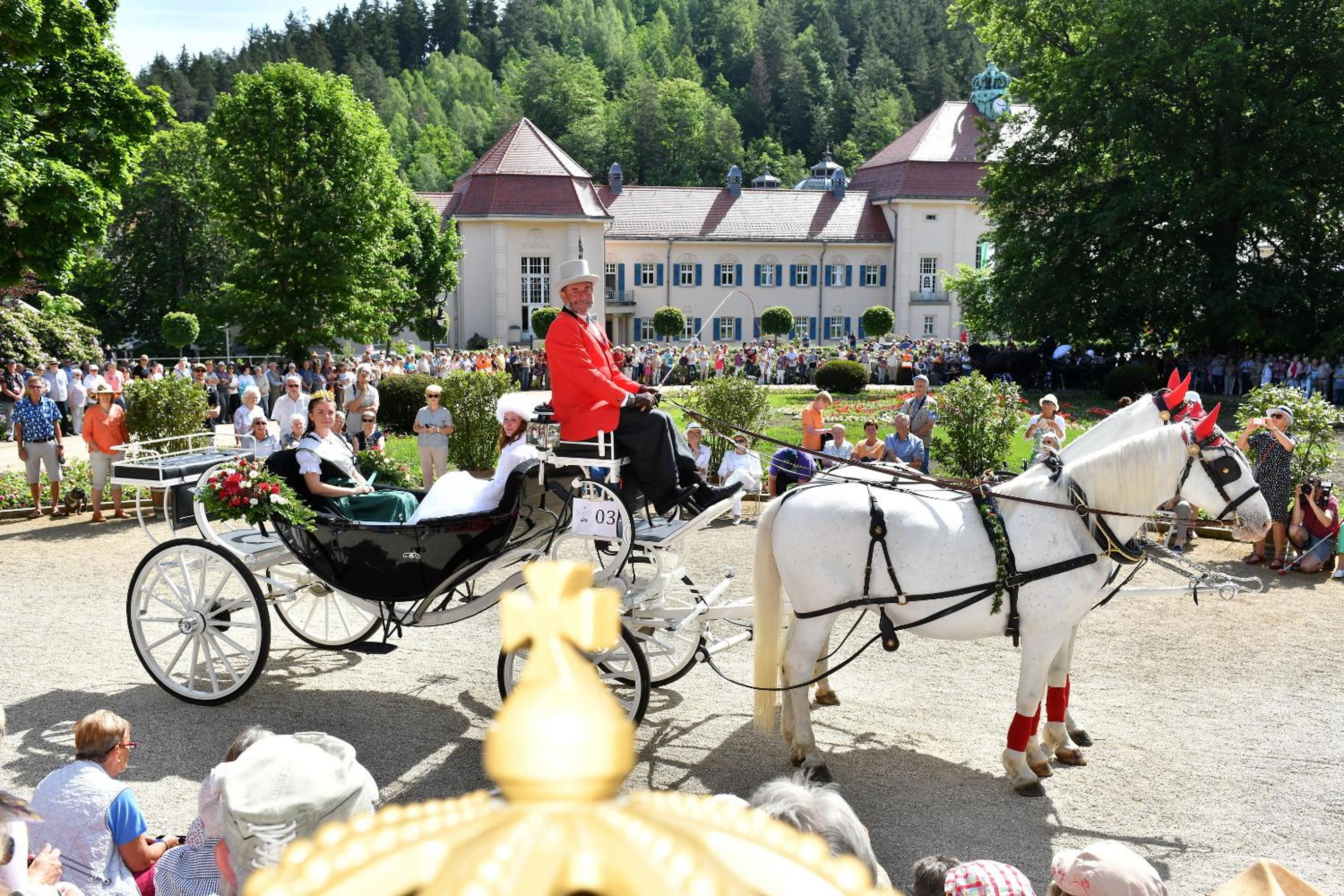 Landhotel Jungbrunnen - Property Image 19