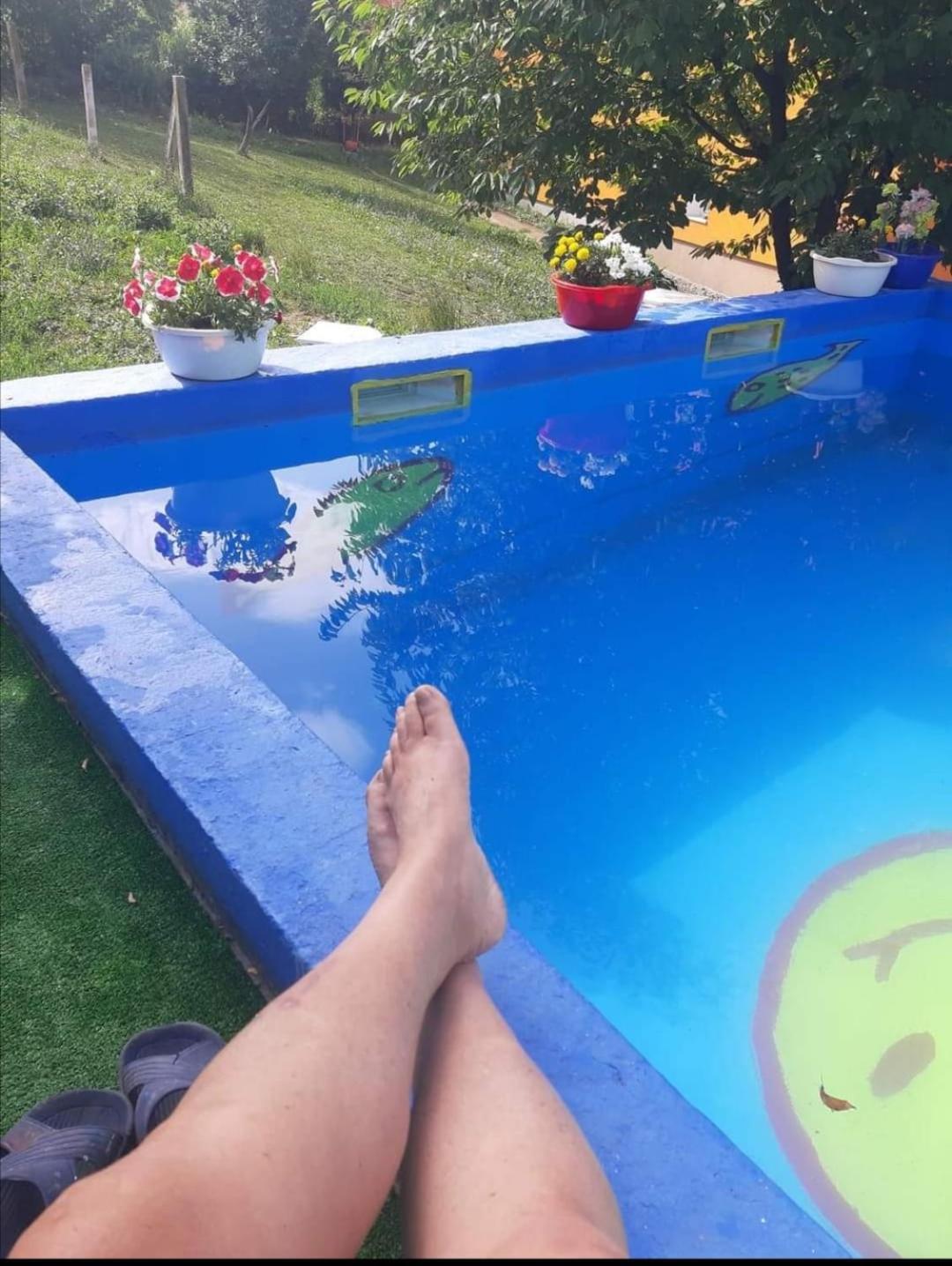 Vila Biba - Ilijas