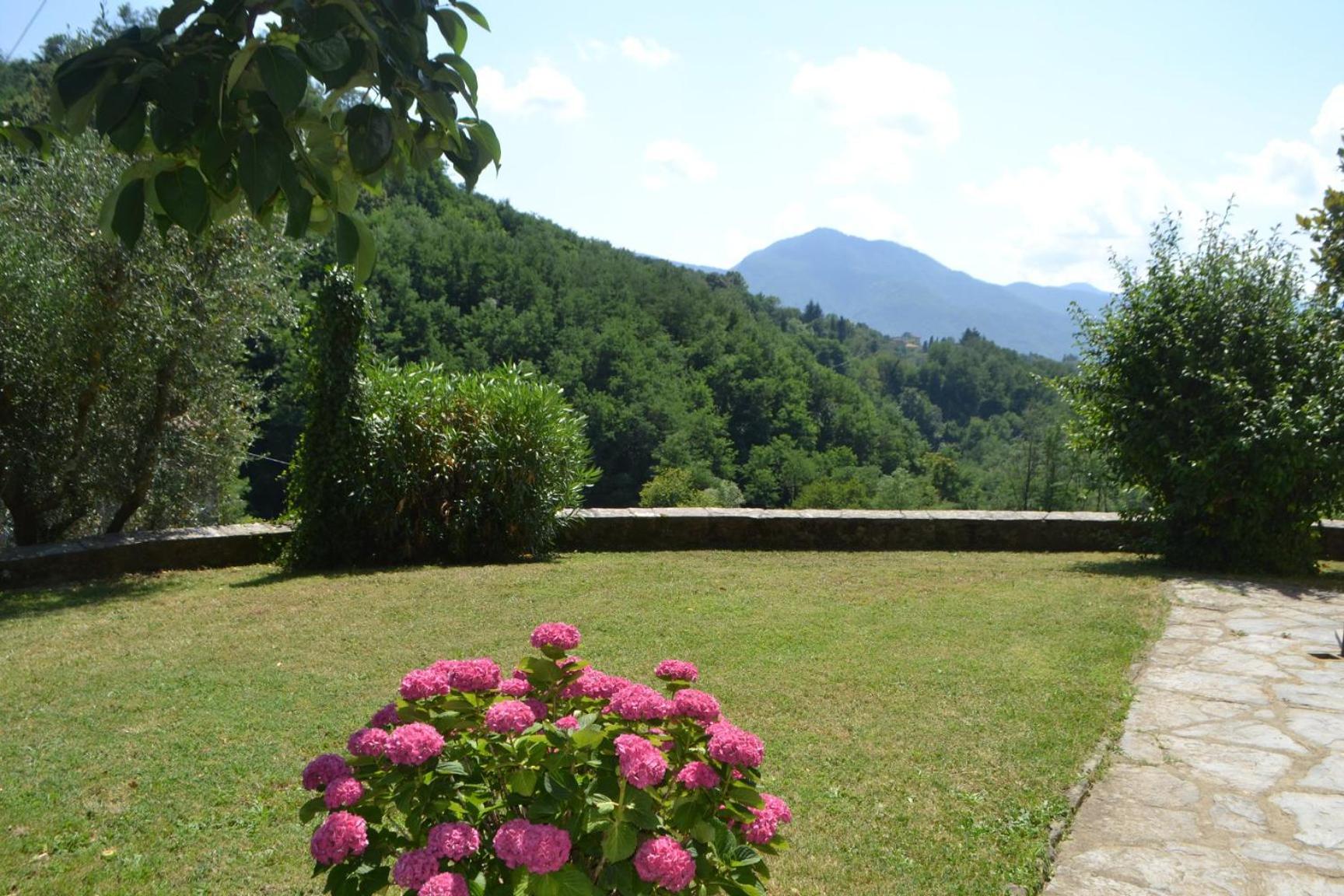 La Limonaia di Casagrande photo 4