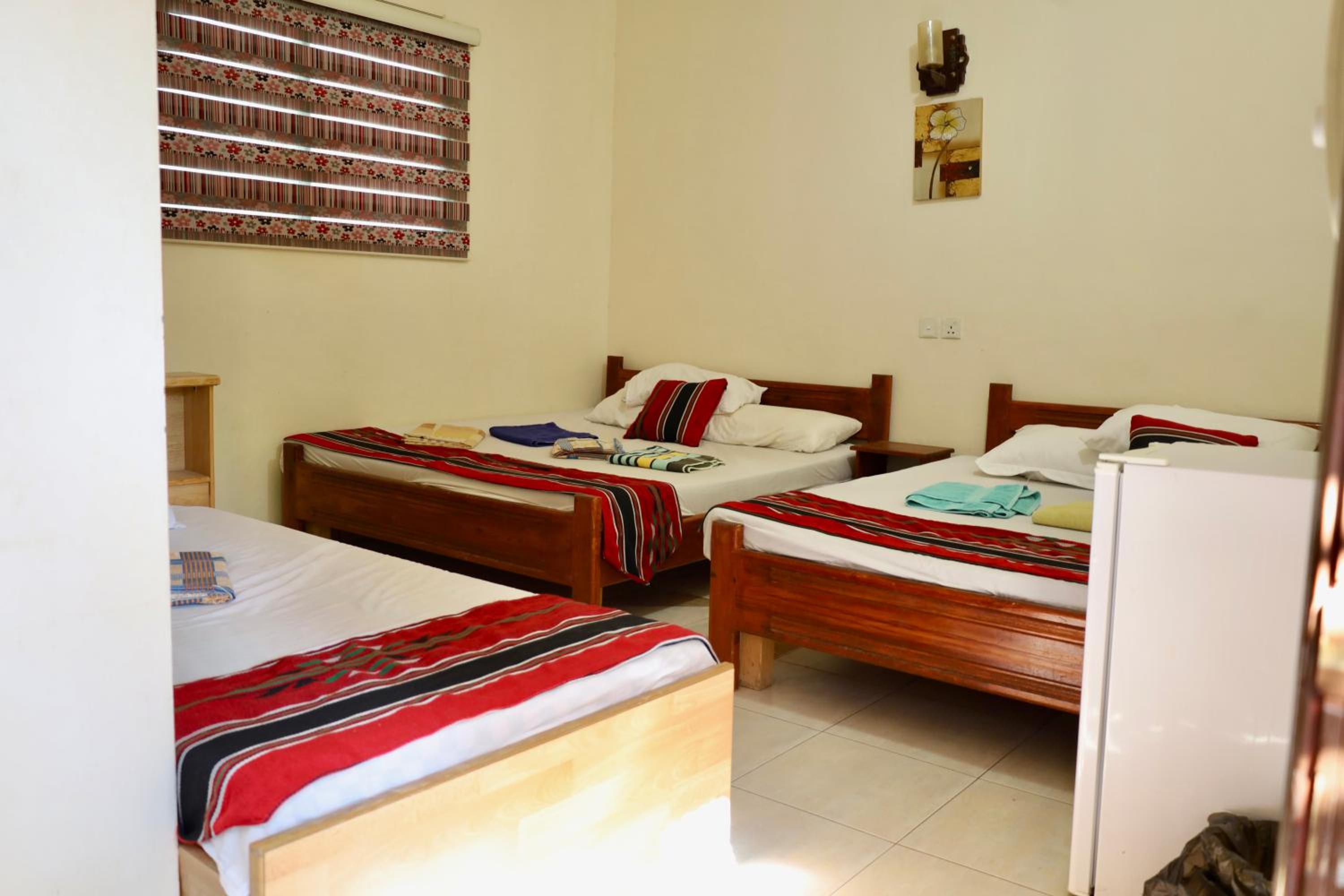 Aqaba Vacations - Bedouin Garden Village, hotel Dive - Property Image 31
