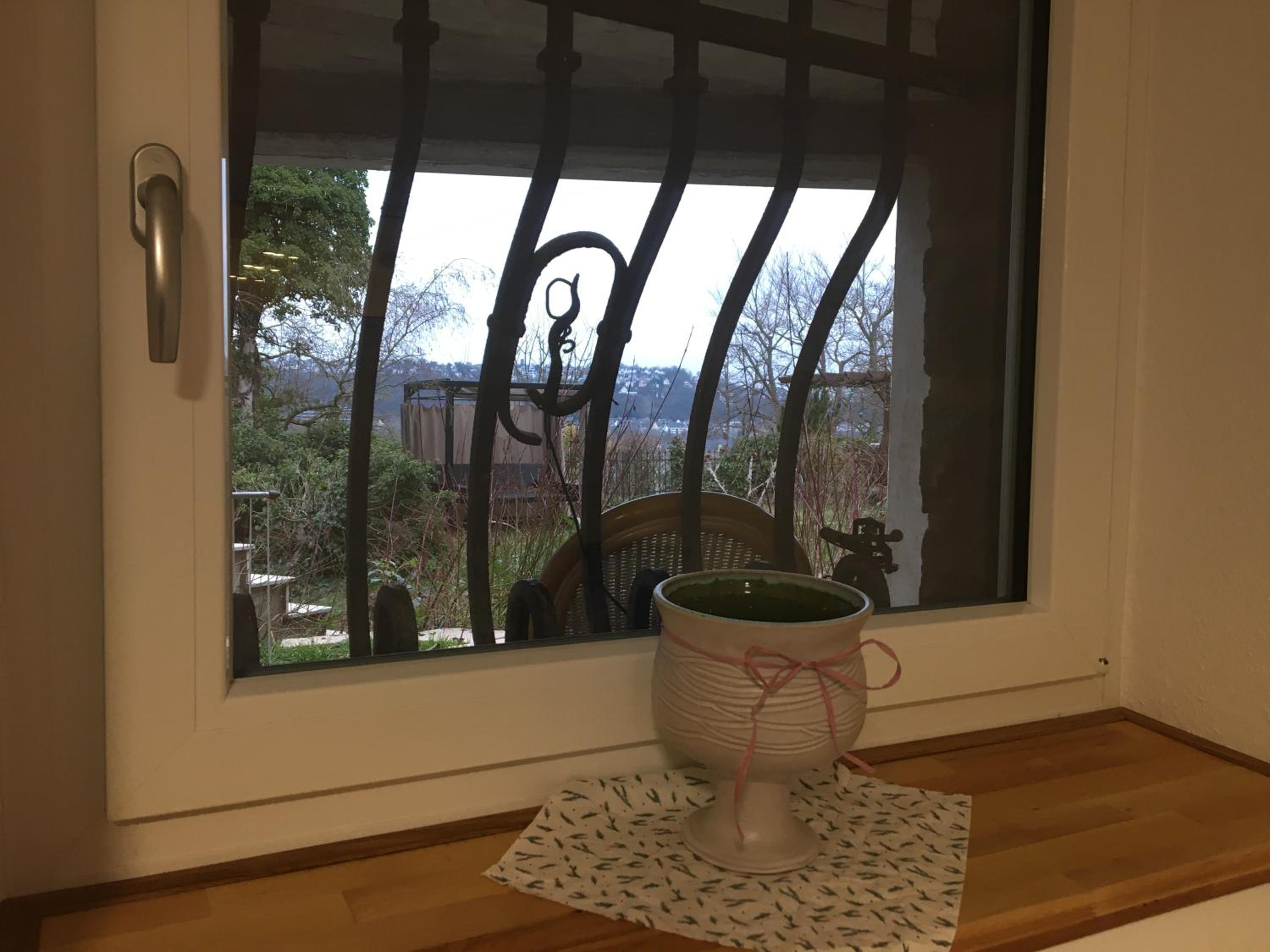 Doppelzimmer mit neuem Bad und Sportpool-Nutzung außen, Villa Naturpark, Garten mit Rheinblick