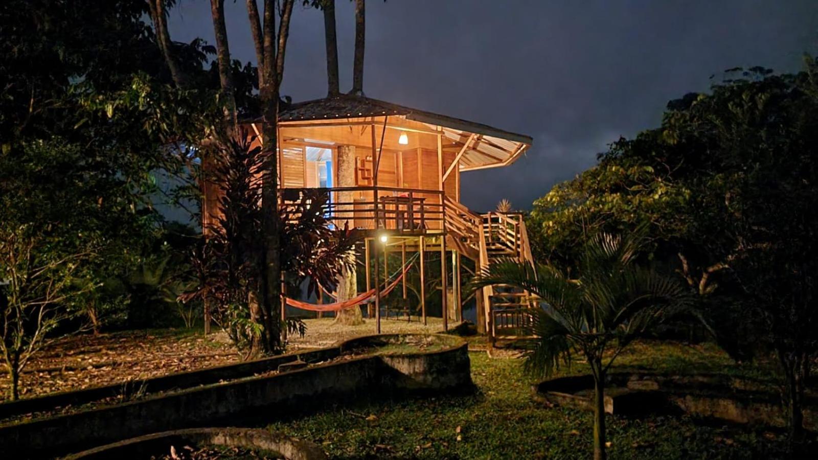 Photo 96