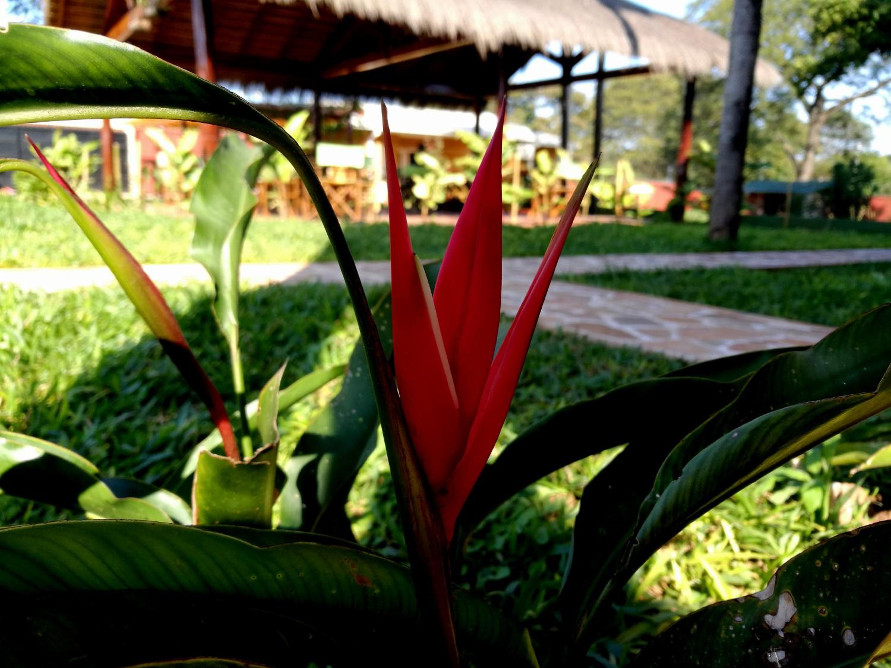 Photo 47