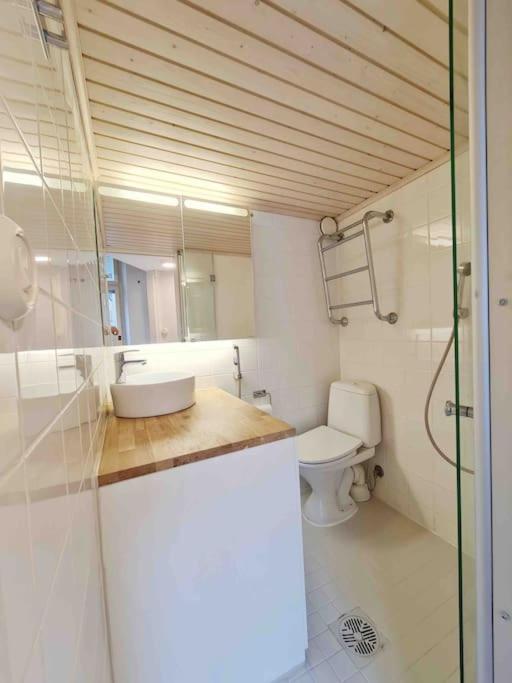 Stylish Studio in Downtown Helsinki