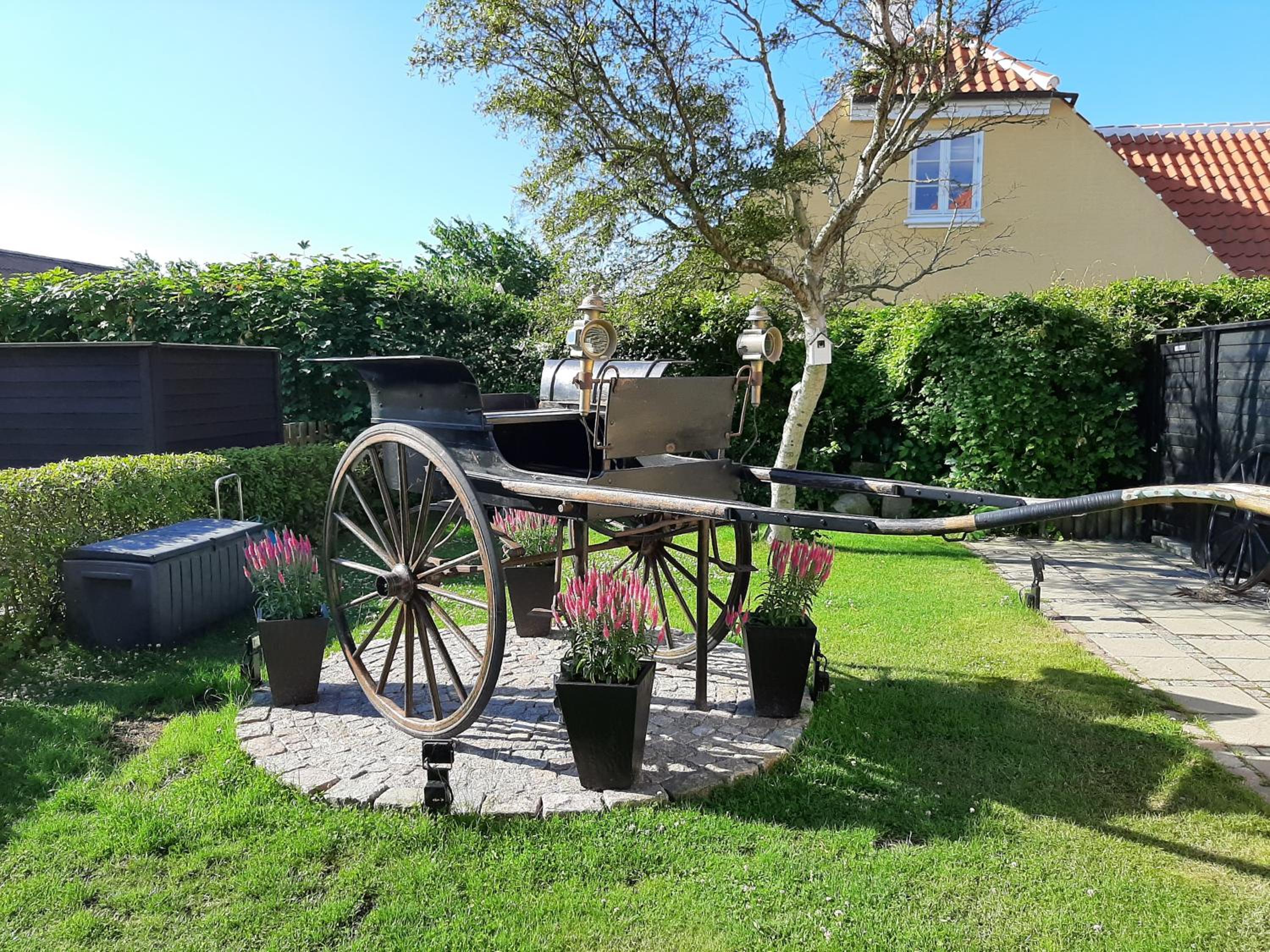 Photo 46
