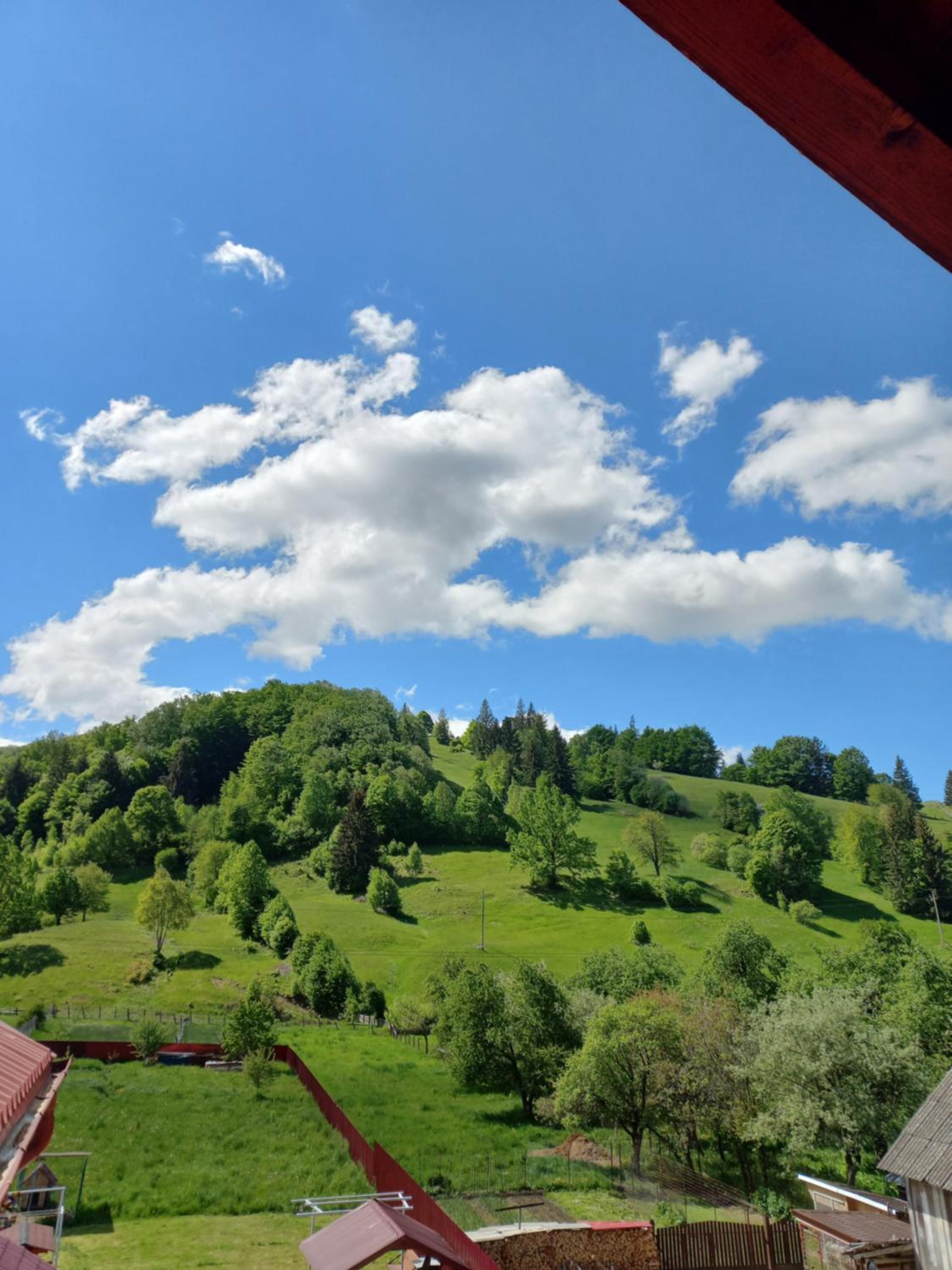 Pensiunea Floare de Bucovina view 5