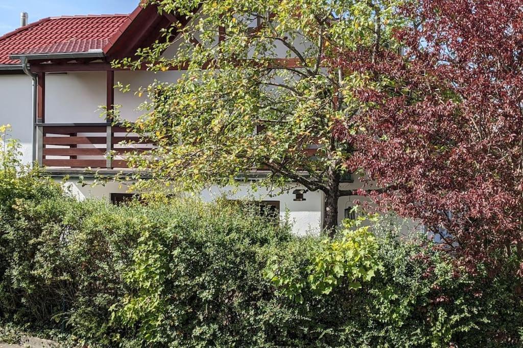 Ferienwohnung in ruhiger Lage direkt am Wald
