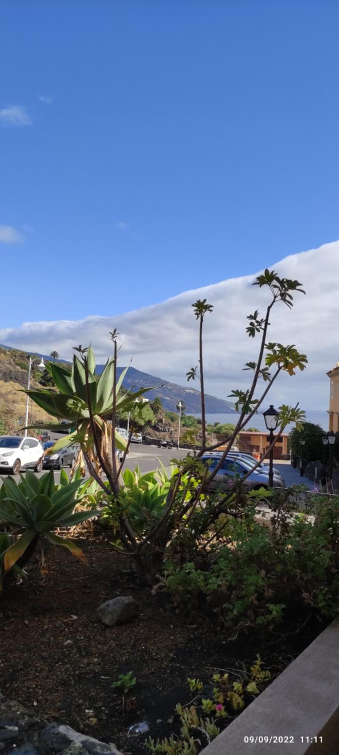 Apartamento El Zumacal view 5