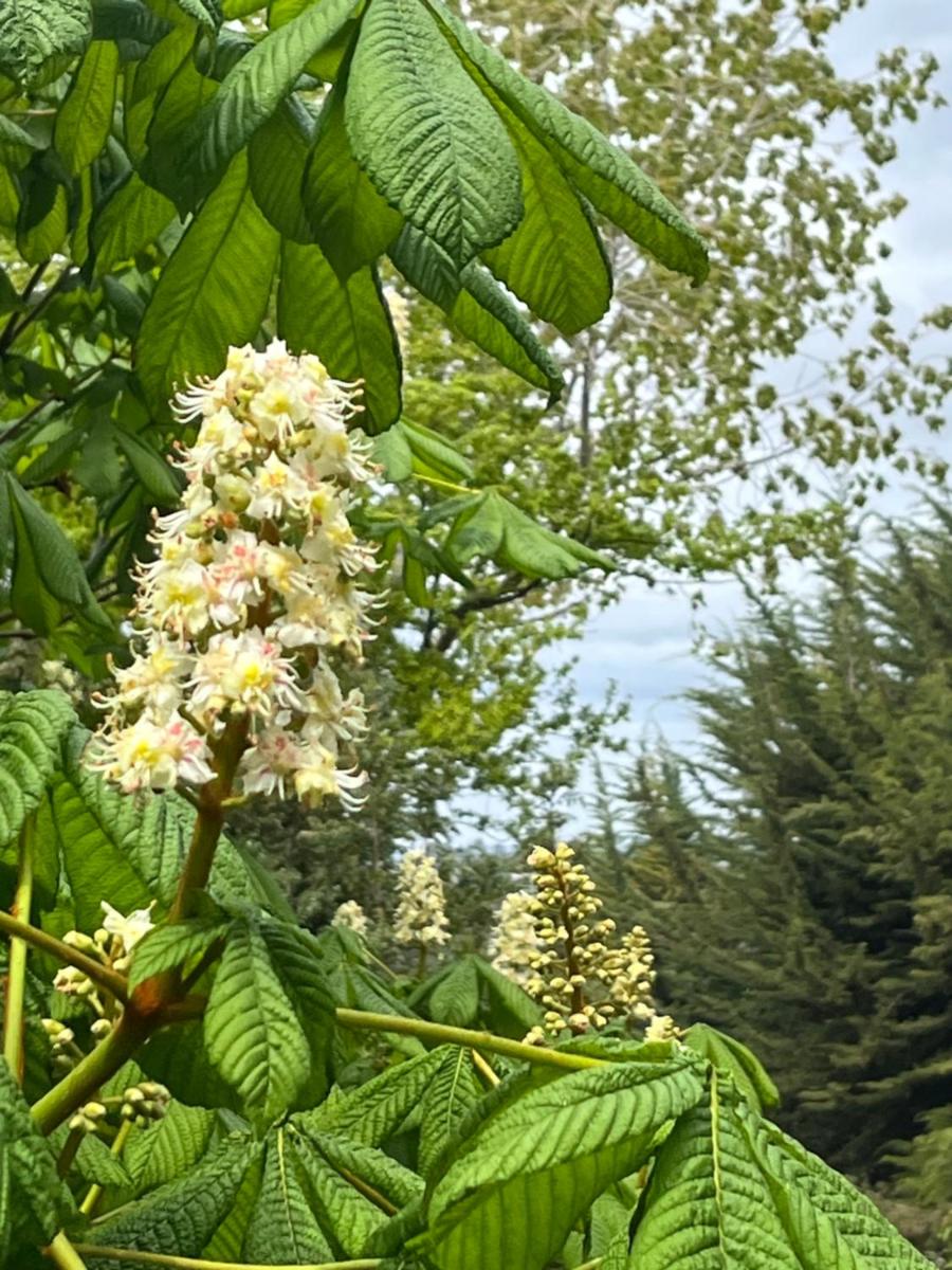 Hotel Loft Nalhuitad - Image 1