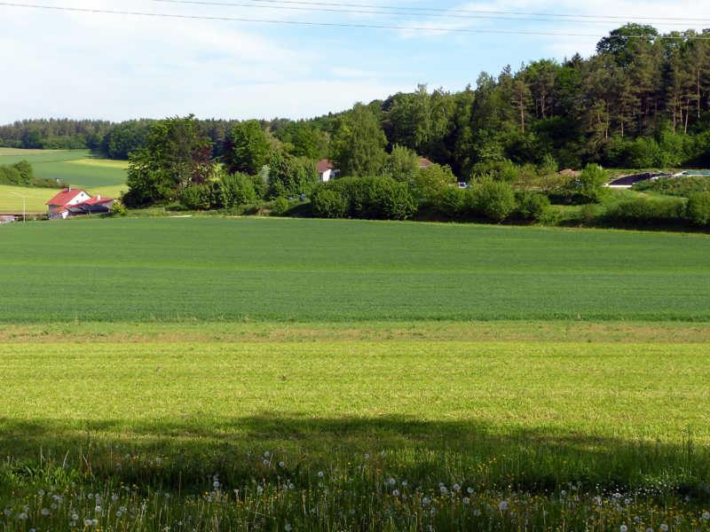 Landurlaub Wittmann