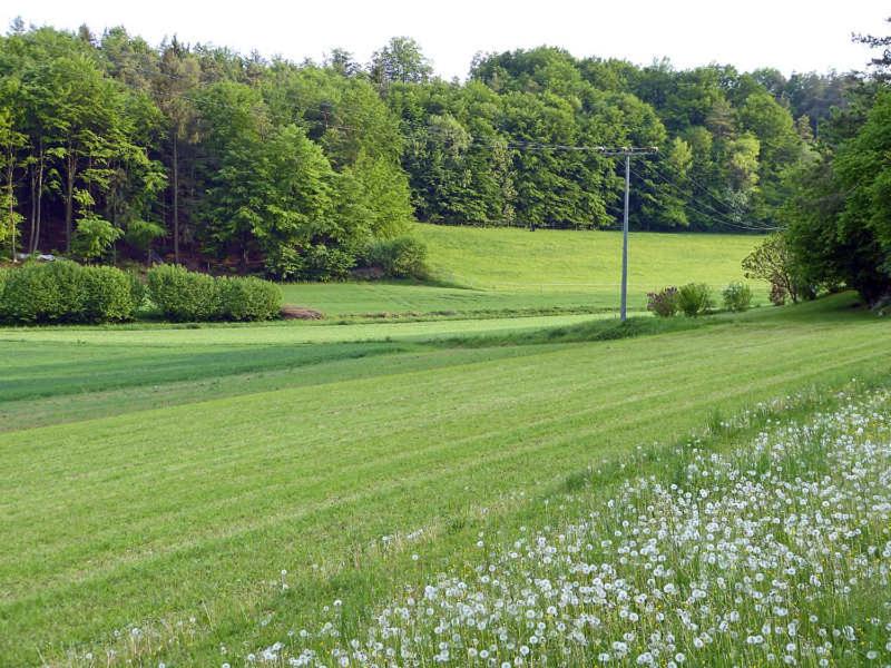 Landurlaub Wittmann