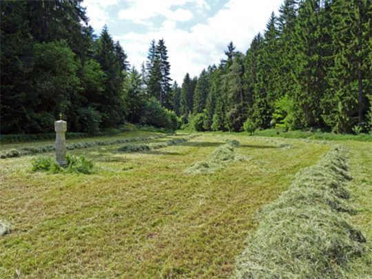 Landurlaub Wittmann