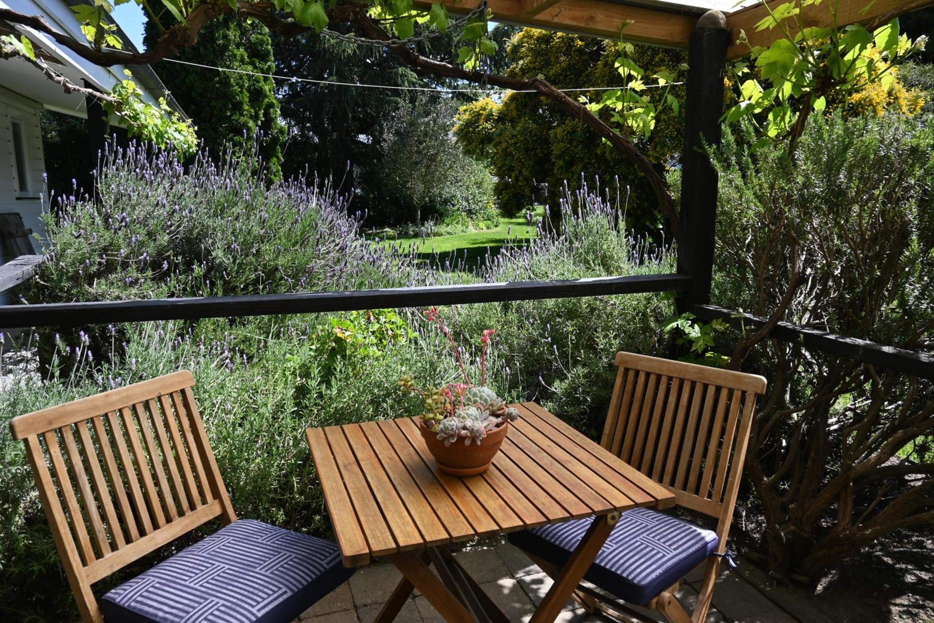 St Leonards Vineyard Cottages - Image 4