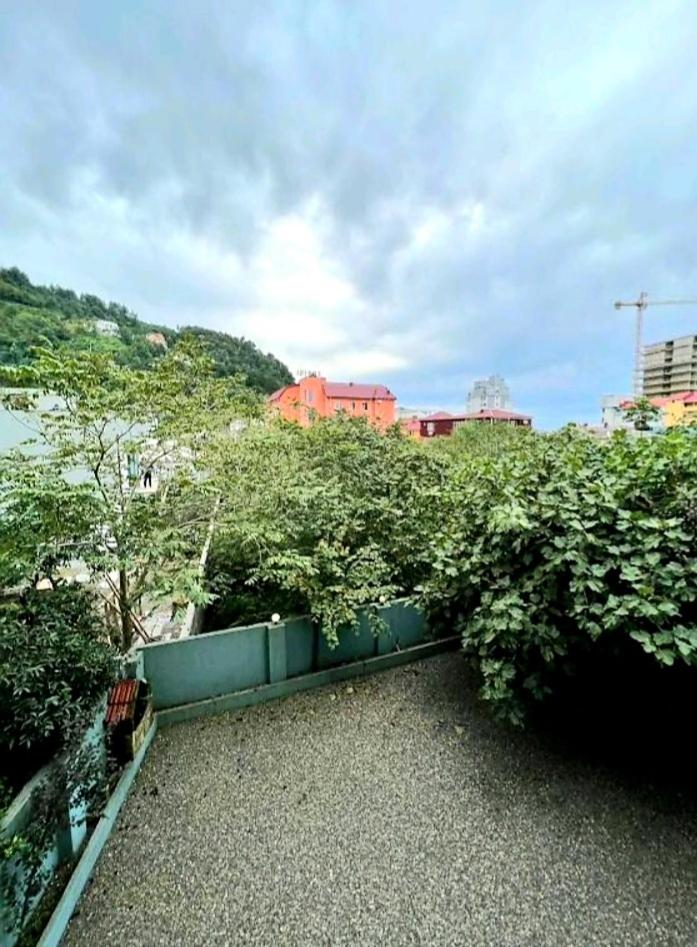 Rio Gonio