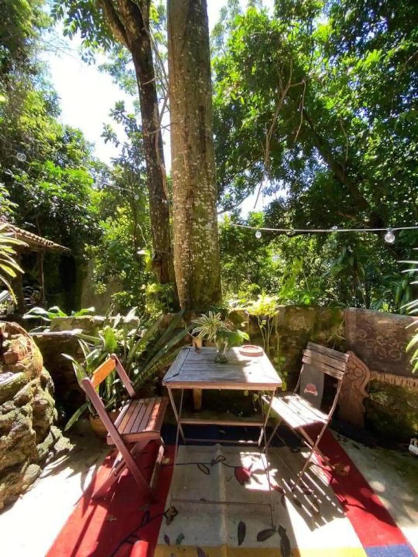 Amazing forest House in the city! Private guest suite - double studio room