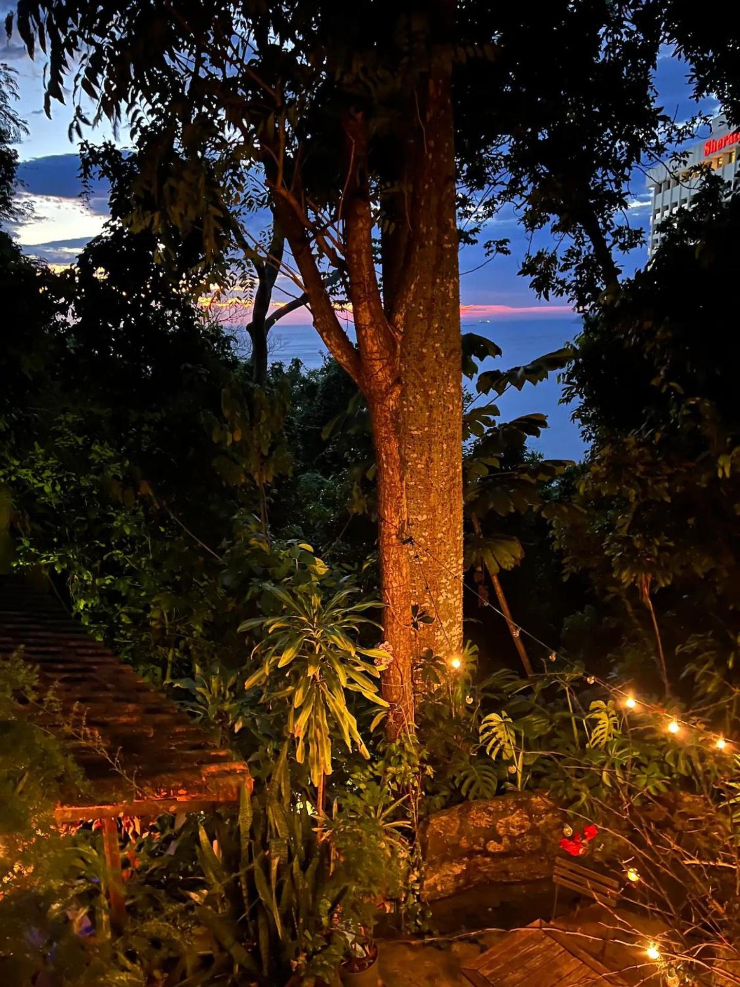 Amazing forest House in the city! Private guest suite - double studio room
