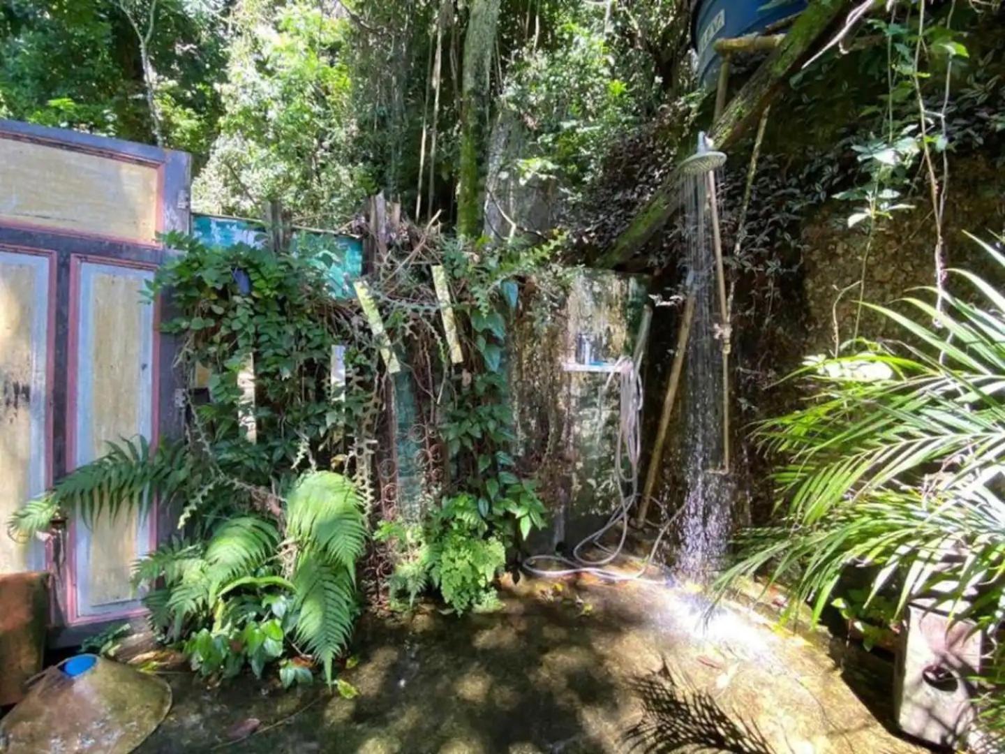 Amazing forest House in the city! Private guest suite - double studio room