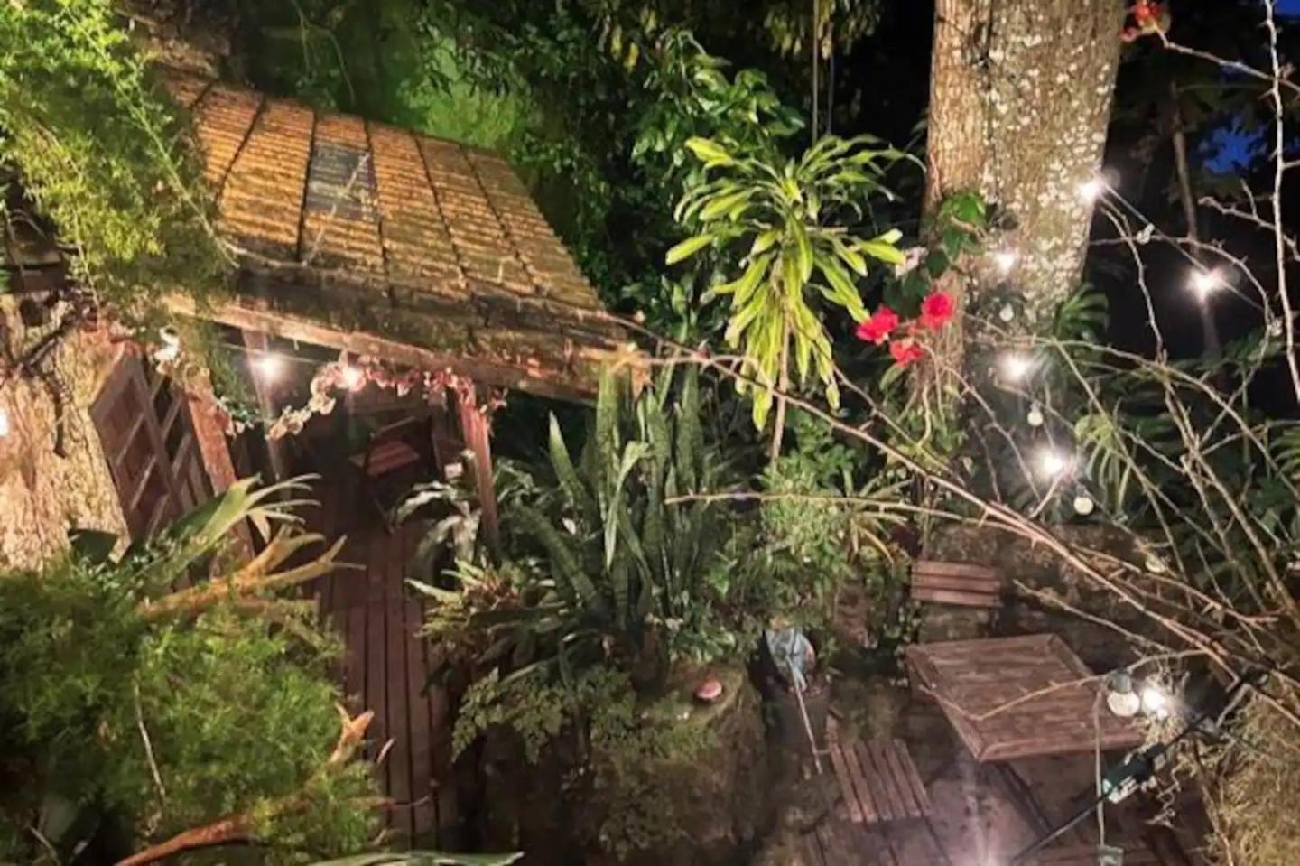 Amazing forest House in the city! Private guest suite - double studio room