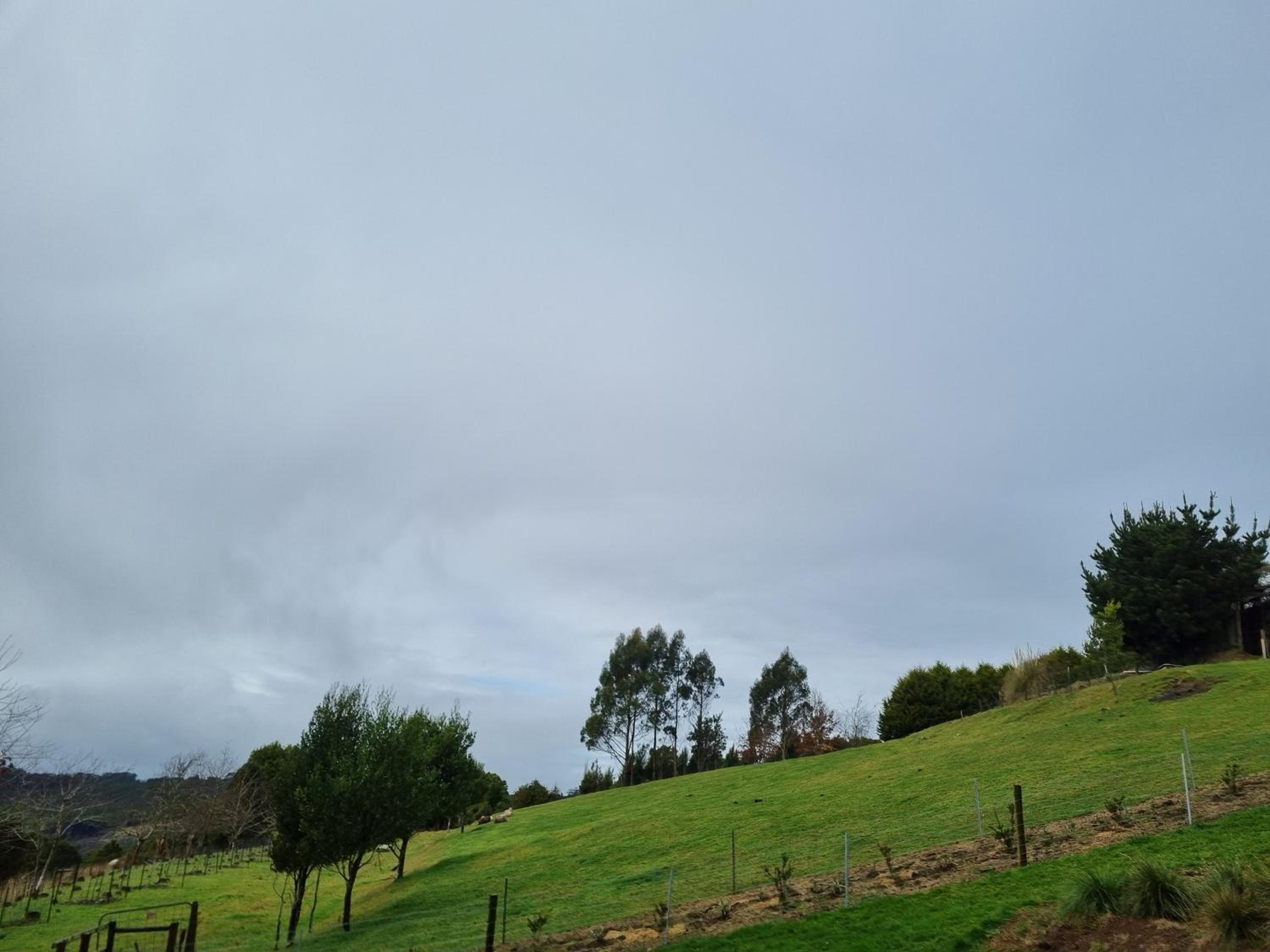 Cozy Otways Accommodation